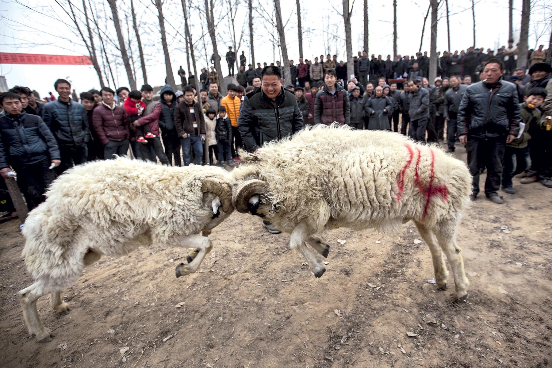 FOTO: WANG ZIRUI