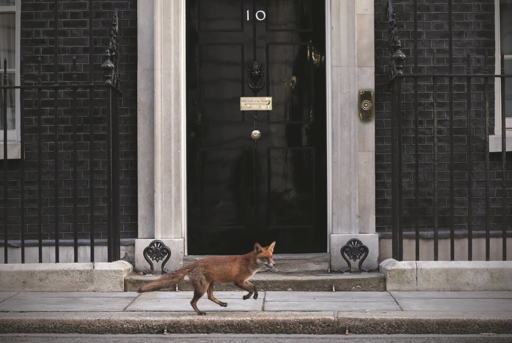 FOTO: Carl Court/Getty Images
