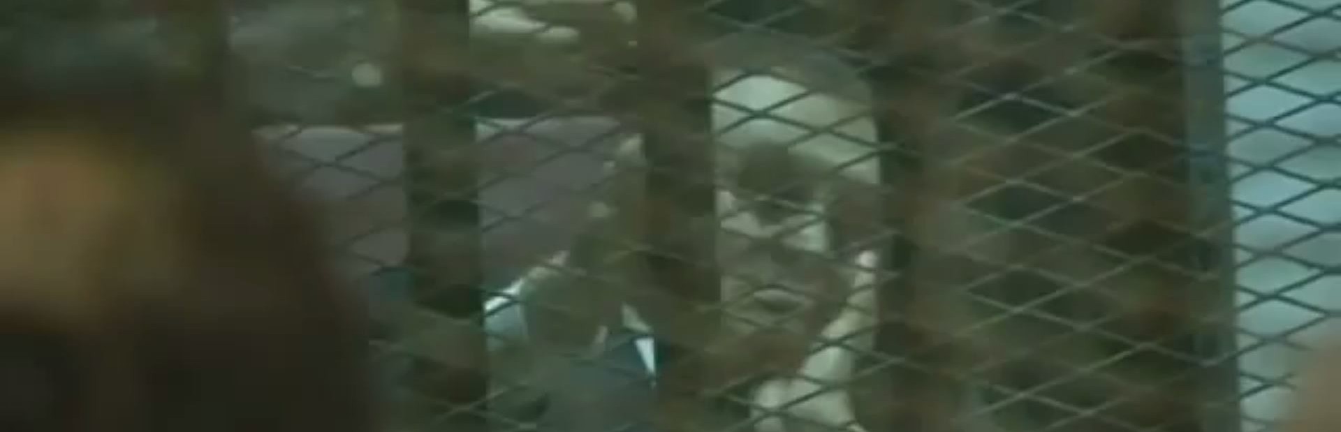 Screenshot YouTube