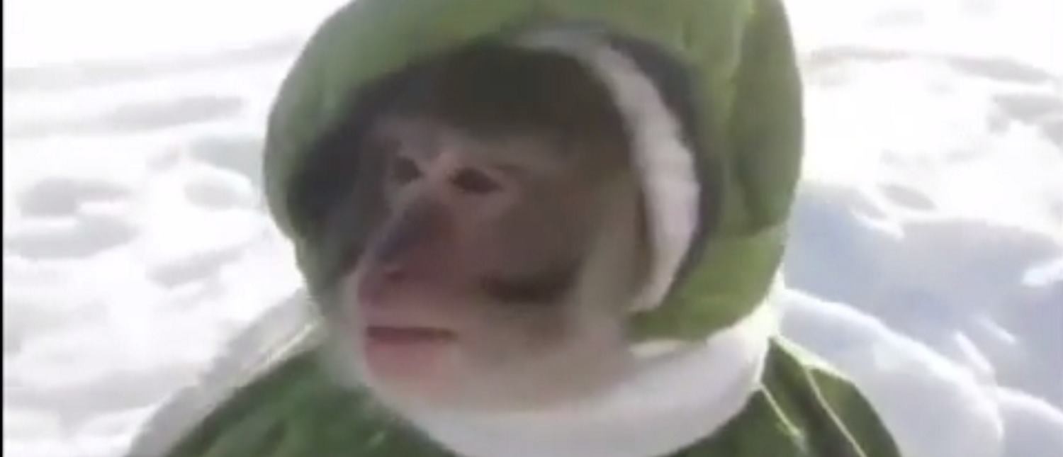 Screenshot YouTube