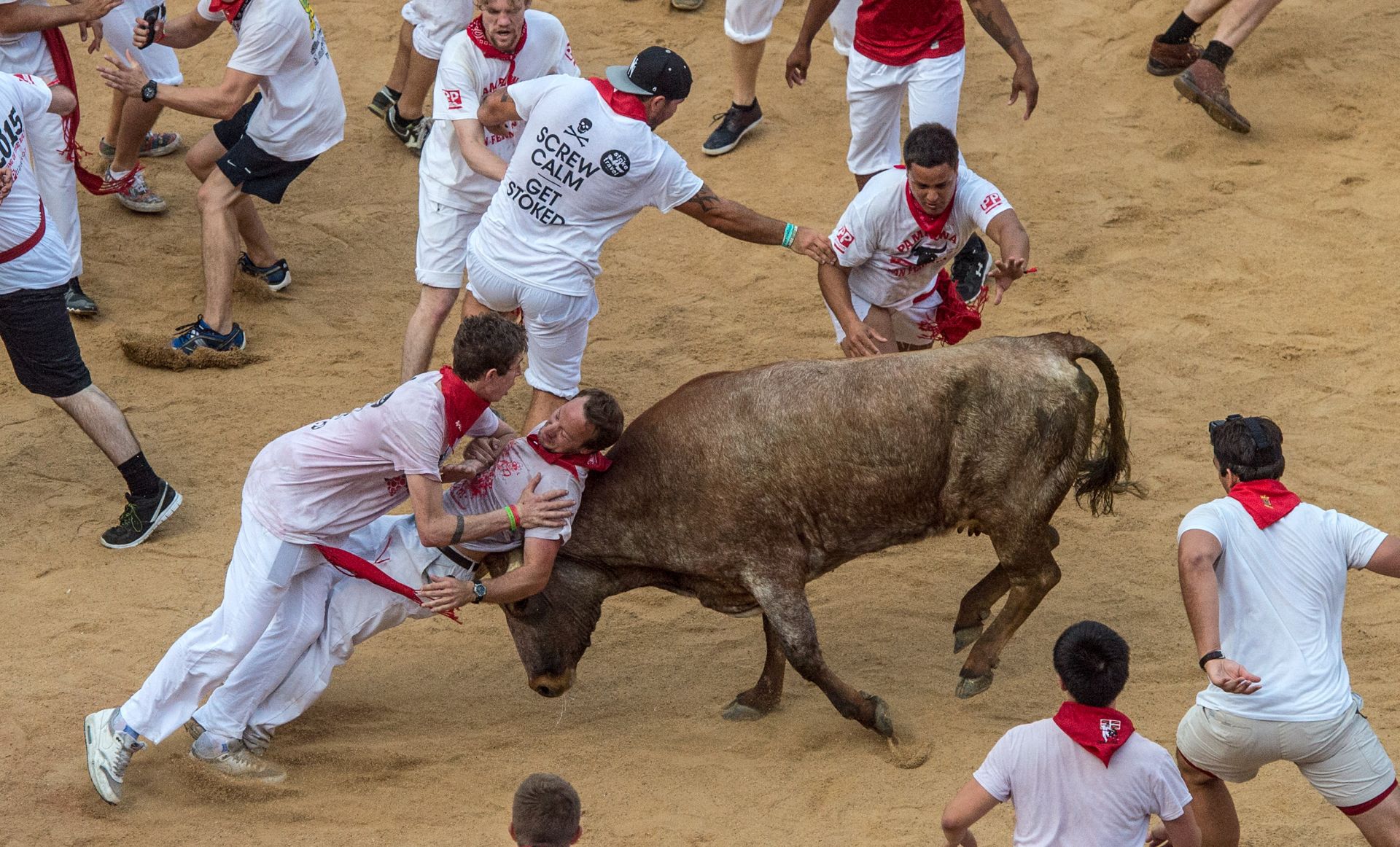 PAMPLONA, SPAIN - JULY 07:  Revellers attempt to avoid a fighting calf inside Pamplona bullring during the second day of the San Fermin Running of the Bulls festival on July 7, 2015 in Pamplona, Spain. The annual Fiesta de San Fermin, made famous by the 1926 novel of US writer Ernest Hemmingway entitled 'The Sun Also Rises', involves the daily running of the bulls through the historic heart of Pamplona to the bull ring.  (Photo by David Ramos/Getty Images)