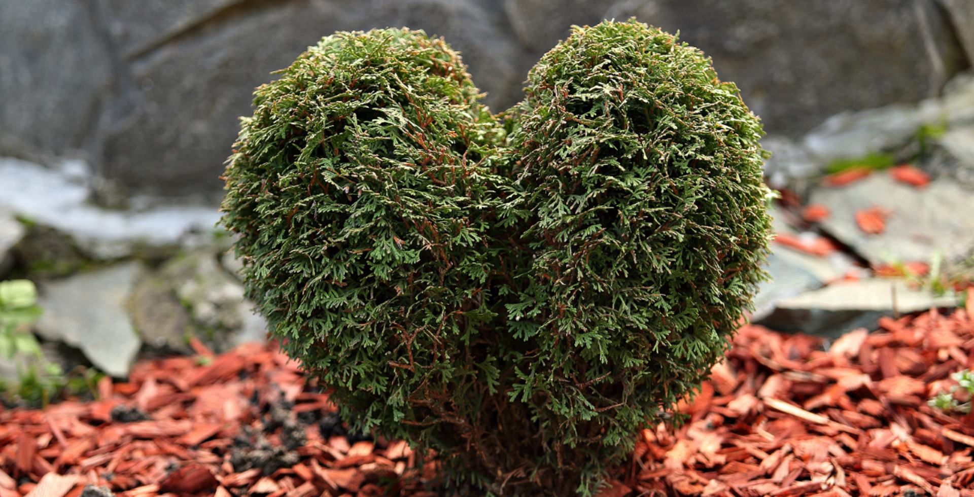 FOTO: Davor Puklavec/PIXSELL