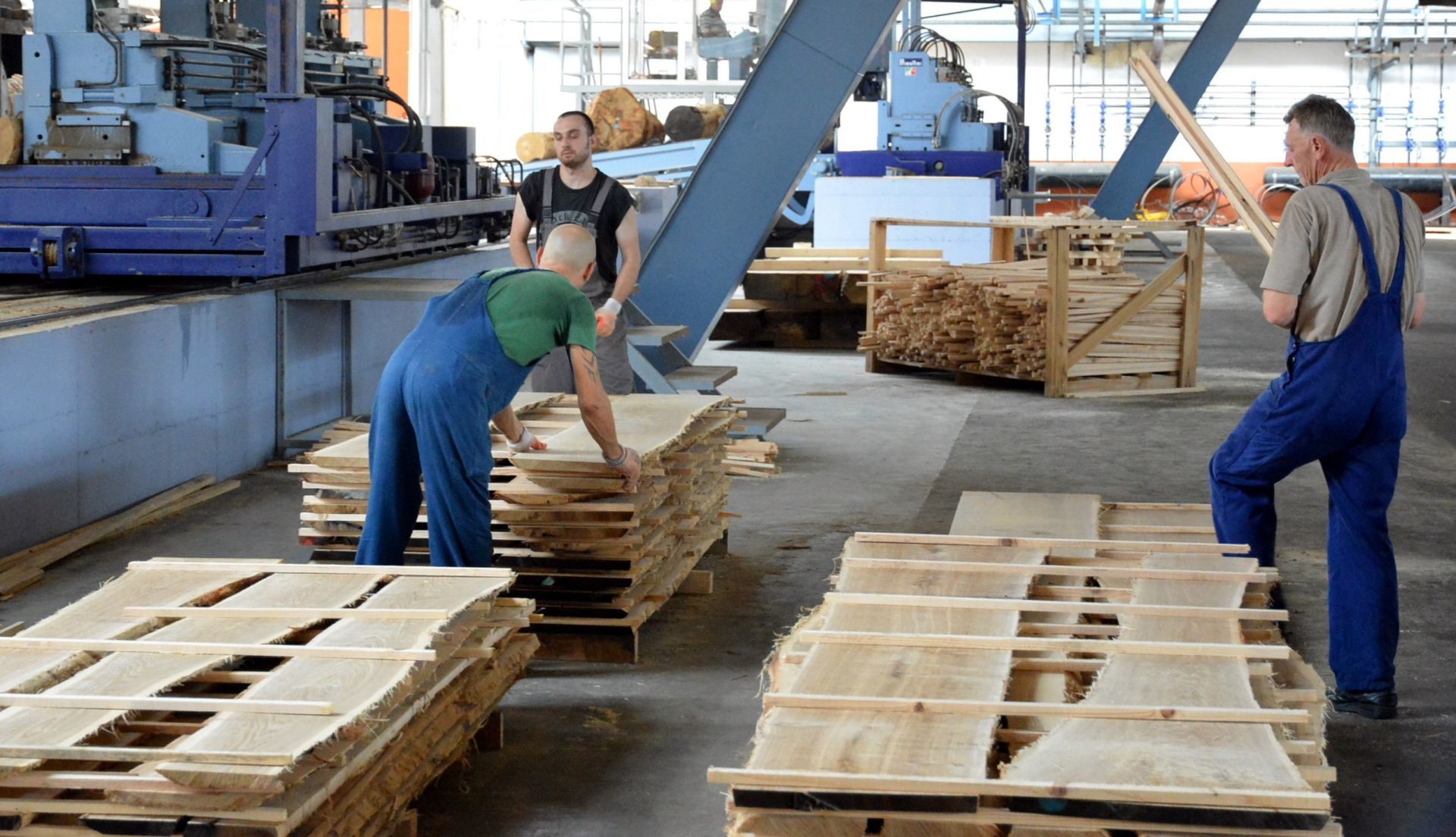 07.07.2015., Bjelovar - Proizvodni pogoni bivse drvne industrije Cesme iznova, pod okriljem nove tvrtke Tehno drvo i novog vlasnika Joze Kalema, rade punom parom, a vecina bivsih radnika Cesme, pri cemu prednjace zene, ponovno je na svojim radnim mjestima u novoizgradjenim pogonima. U krugu bivse posrnule tvrtke Cesma, kasnije i posrnule Spacve, na mjestu gdje su bile tvornice Sperploca i Furnir, niknuli su novi proizvodni pogoni te susare za preradu drveta. Investicijska ulaganja u pogone, opremu i strojeve premasuju 200 milijuna kuna, a ona ce se i povecavati prosirivanjem proizvodnih pogona do kraja 2015. Trenutacno je zaposleno 125 radnika, a bitno je da su prioritet kod zaposljavanja imali bivsi radnici Cesme d.d. Do kraja kolovoza 2015. u planu je zaposljavanje jos 25 radnika pokretanjem finalne proizvodnje lamela. Tehno drvo d.o.o. PC Bjelovar tvrtka je koja se bavi drvnom proizvodnjom od primarne obrade trupaca do izrade finalnog proizvoda. Proizvodnja je organizirana u dva glavna procesa, prvi obuhvaca raspilivanje trupaca na suvremenoj opremi kapaciteta u 40 m3 po smjeni. Proizvodnja je organizirana u tri smjene. Drugi dio prerade drveta i proizvodnja elemenata odvija se na digitaliziranim linijama u skladu s visokim standardima razvijenih zemalja. Cjelokupni proizvodni program se izvozi u zapadnoeuropske zemlje, u prvom redu u Austriju i Svicarsku te Dansku, Svedsku i Njemacku.
Photo: Damir Spehar/PIXSELL