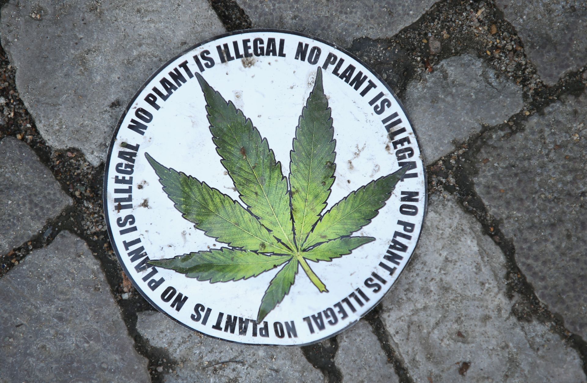BERLIN, GERMANY - AUGUST 09:  A sticker calling for the legalization of marijuana lies on the street at the annual Hemp Parade (Hanfparade) on August 9, 2014 in Berlin, Germany. Supporters of cannabis legalization are hoping legalized sale in parts of the USA will increase the likelihood of legalization in Germany. The city of Berlin is considering allowing the sale of cannabis in one city district.  (Photo by Sean Gallup/Getty Images)