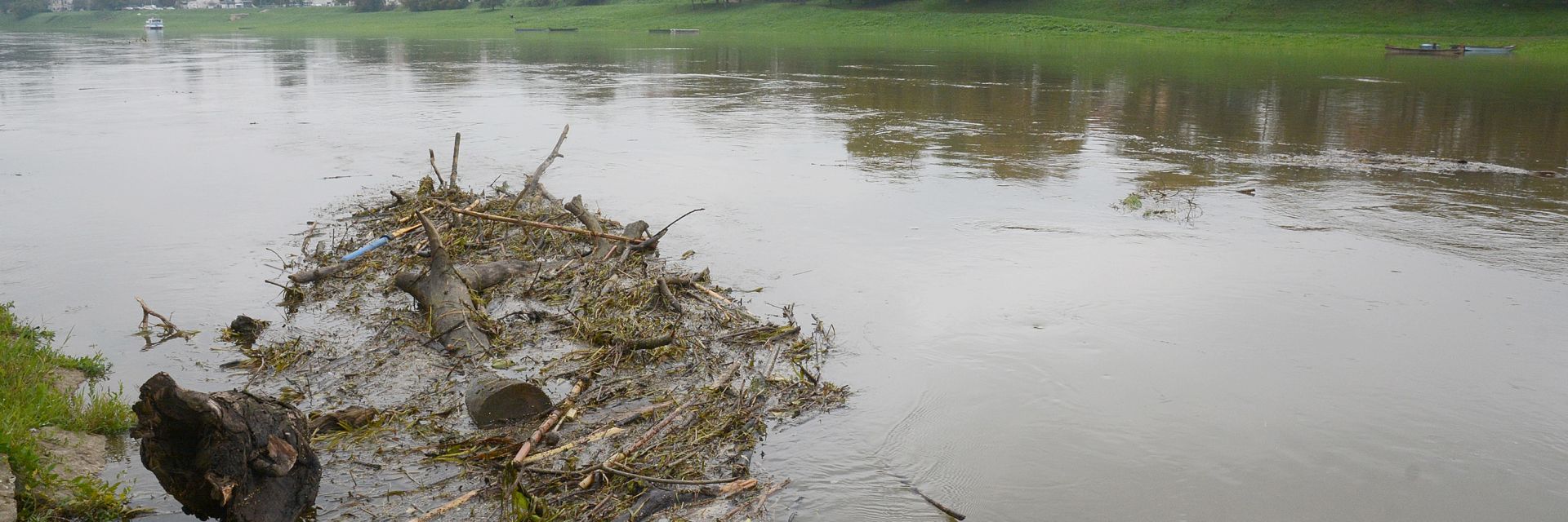 09.10.2015., Sisak - Zbog kisa koje su padale proteklih dana vodostaj rijeke Kupe u porastu je, a zamucenom rijekom boje bijele kave plove nakupine grana. Photo: Nikola Cutuk/PIXSELL