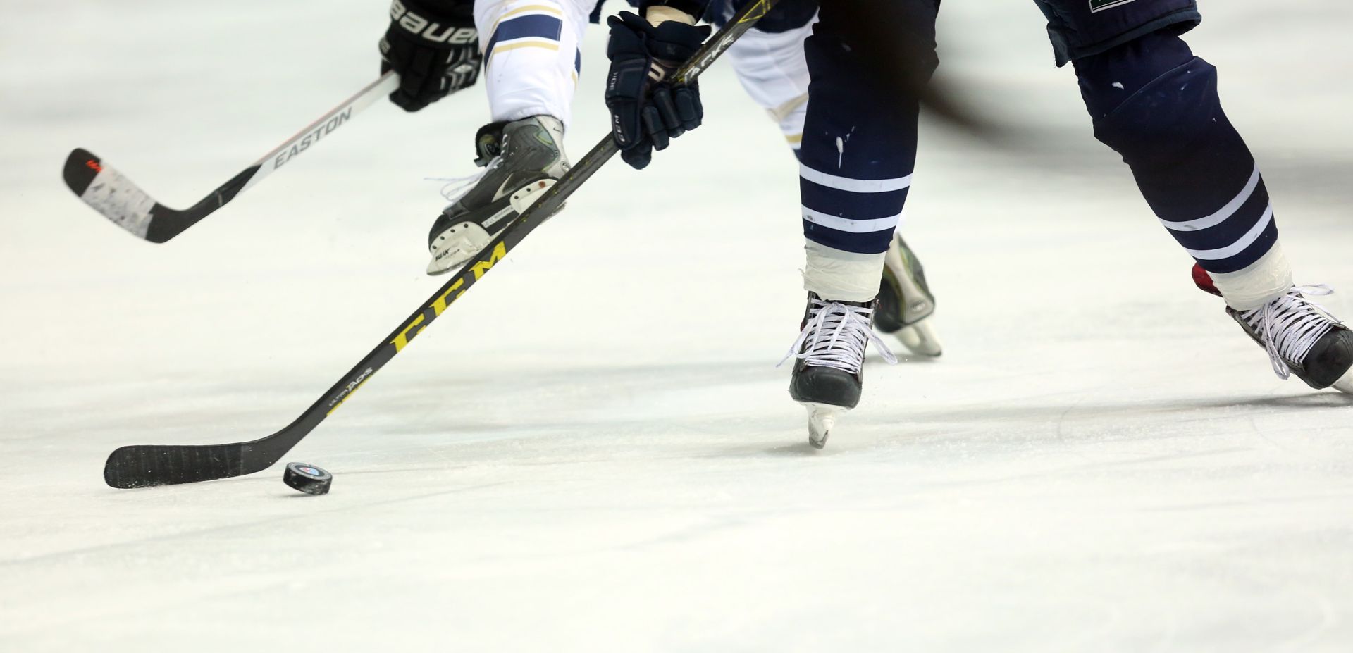 11.12.2015., Dom sportova, Zagreb - Kontinentalna hokejaska liga, 42. kolo, KHL Medvescak - HK Soci. 
Photo: Goran Jakus/PIXSELL