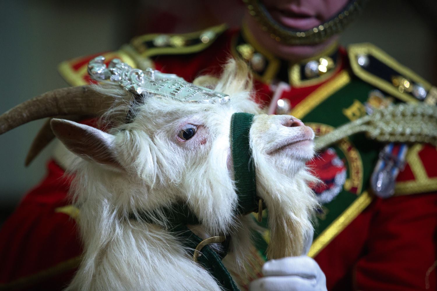 Matt Cardy/Getty Images