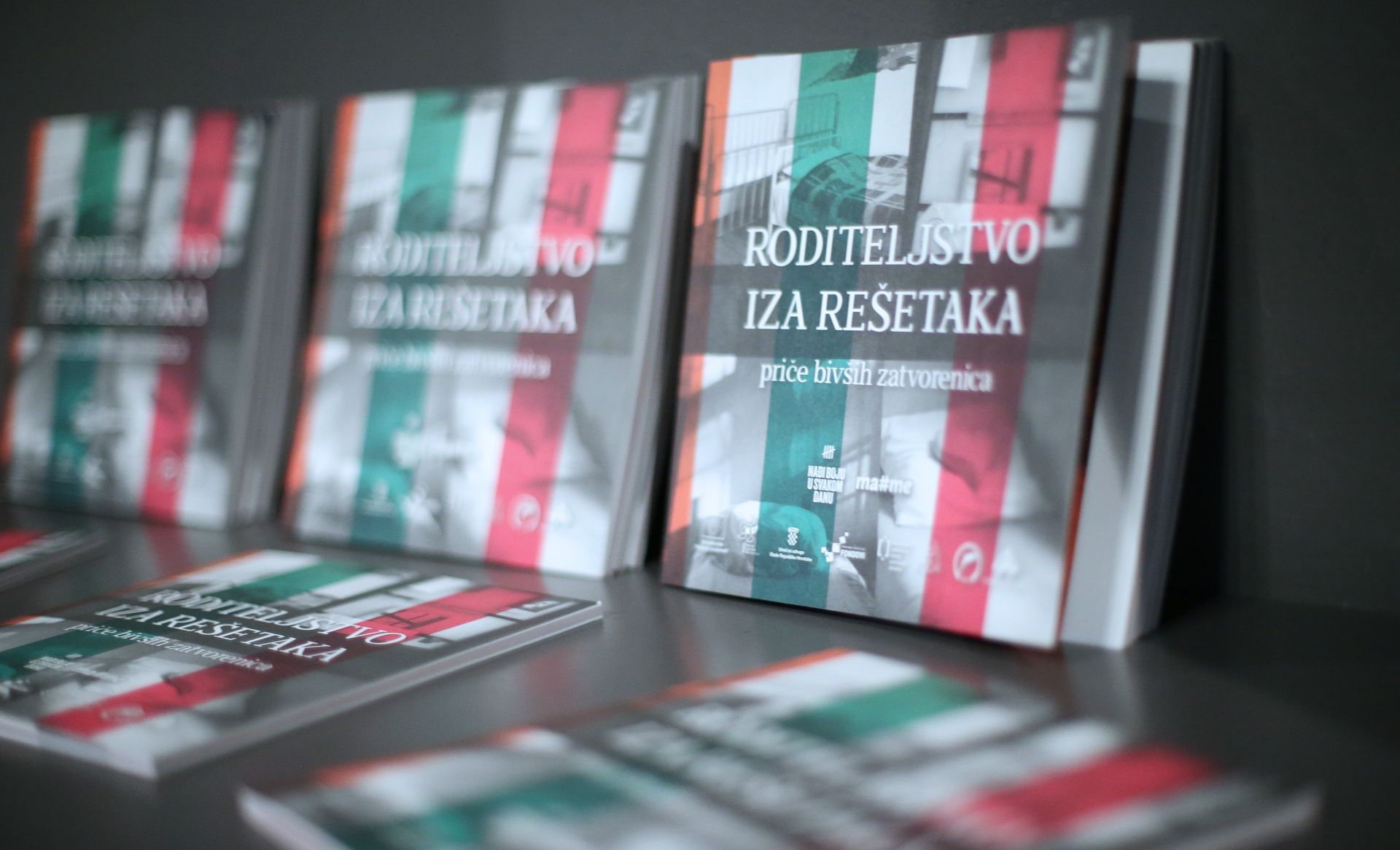 17.07.2015., Zagreb - U kinu Europa u organizaciji udruge RODA predstavljena je knjizica Roditeljstvo iza resetaka. To je knjiga s pricama deset bivsih zatvorenica koje su odsluzile kaznu zatvora u Kaznionici u Pozegi. Photo: Sanjin Strukic/PIXSELL