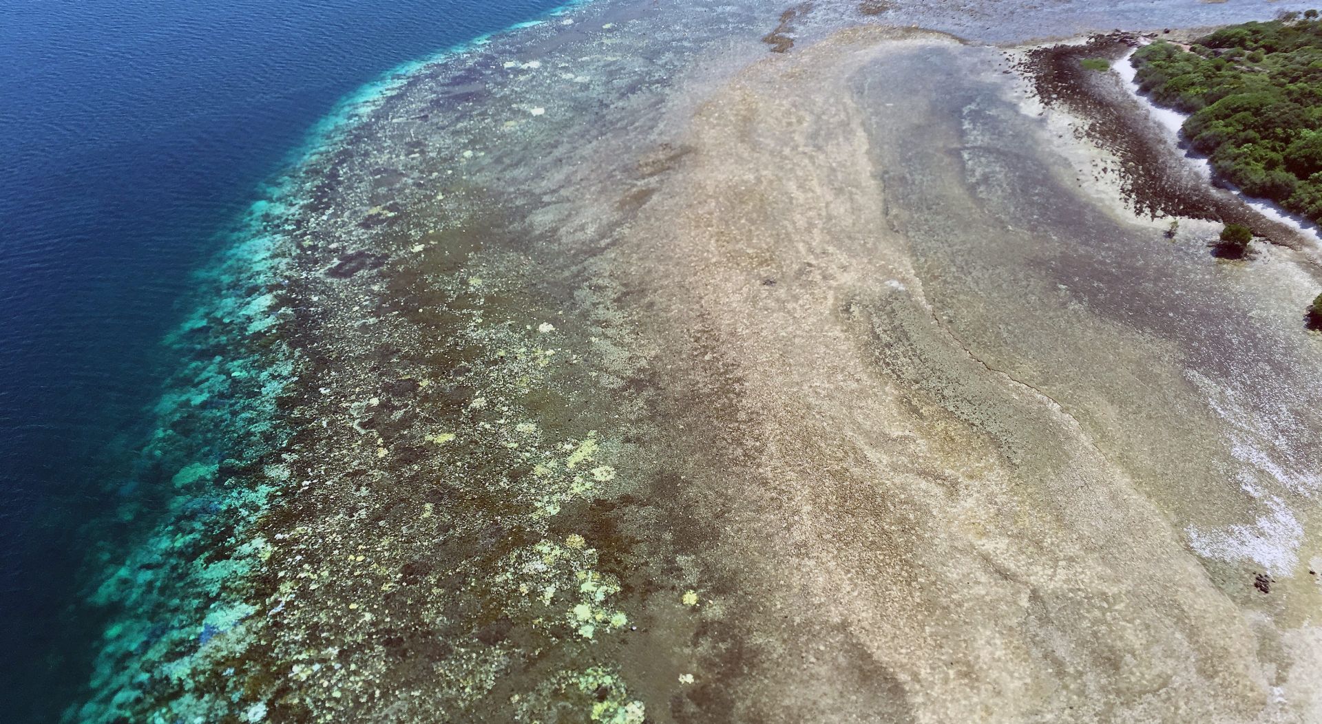 EPA/ARC CENTRE OF EXCELLENCE FOR CORAL REEF STUDIES/JAMES KERRY