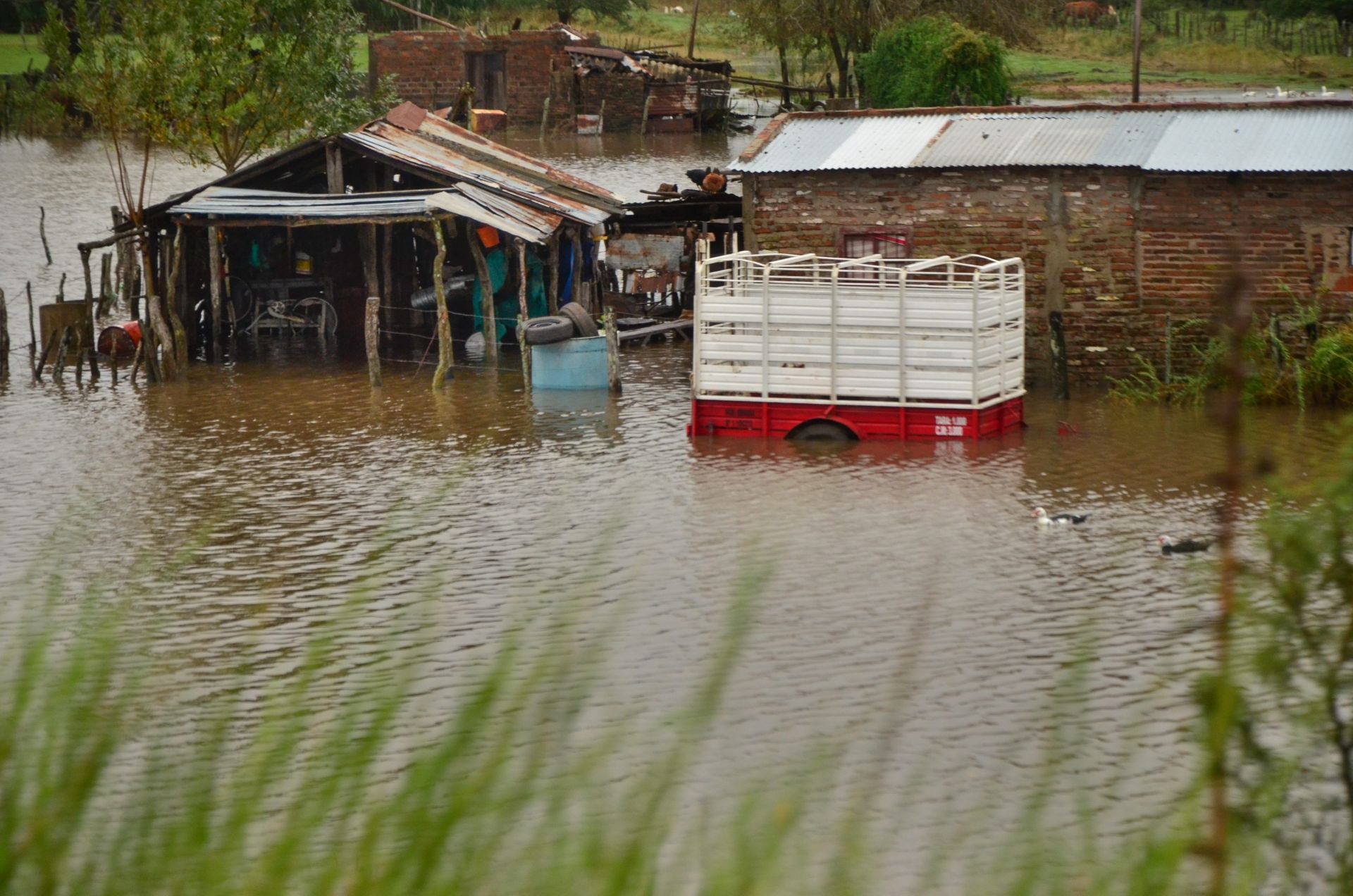 epa05269143 Handout picture by the Provincial Government of Entre Rios made available on 20 April 2016 of the floodings in Entre Rios, Argentina, on 19 April 2016. About 22,700 people remain isolated and about 9,000 have been evacuated in eight provinces of the country by heavy rainfall since late March and the overflow of streams, in the area of the Northeast and center of Argentina reported today the Federal Emergency system (SIFEM).  EPA/Susana Leineker / HANDOUT EDITORIAL USE ONLY/NO SALES