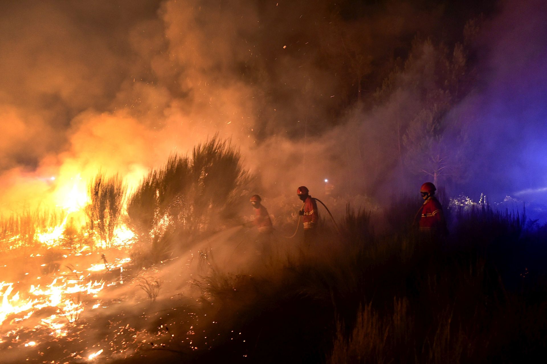 epa05466998 A group of fire fighters hose down a blaze while fighting a forest fire in S. Joao do Monte, Viseu region, Portugal, early 09 August 2016. Numerous fire engine vehicles and hundreds of fire fighters are deployed to fight the widespread fires in the northern regions of Portugal, of which some had already declared a state of emergency.  EPA/NUNO ANDRE FERREIRA