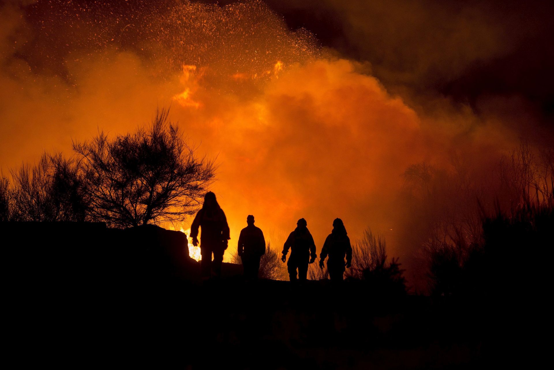 epa05537319 Firemen work to put out flames in Cualedro, Ourense, northwestern Spain, 13 September 2016. The Rural Resources Council declared emergency sitaution level two because flames from the fire are threatening homes in Cualedro.  EPA/BRAIS LORENZO