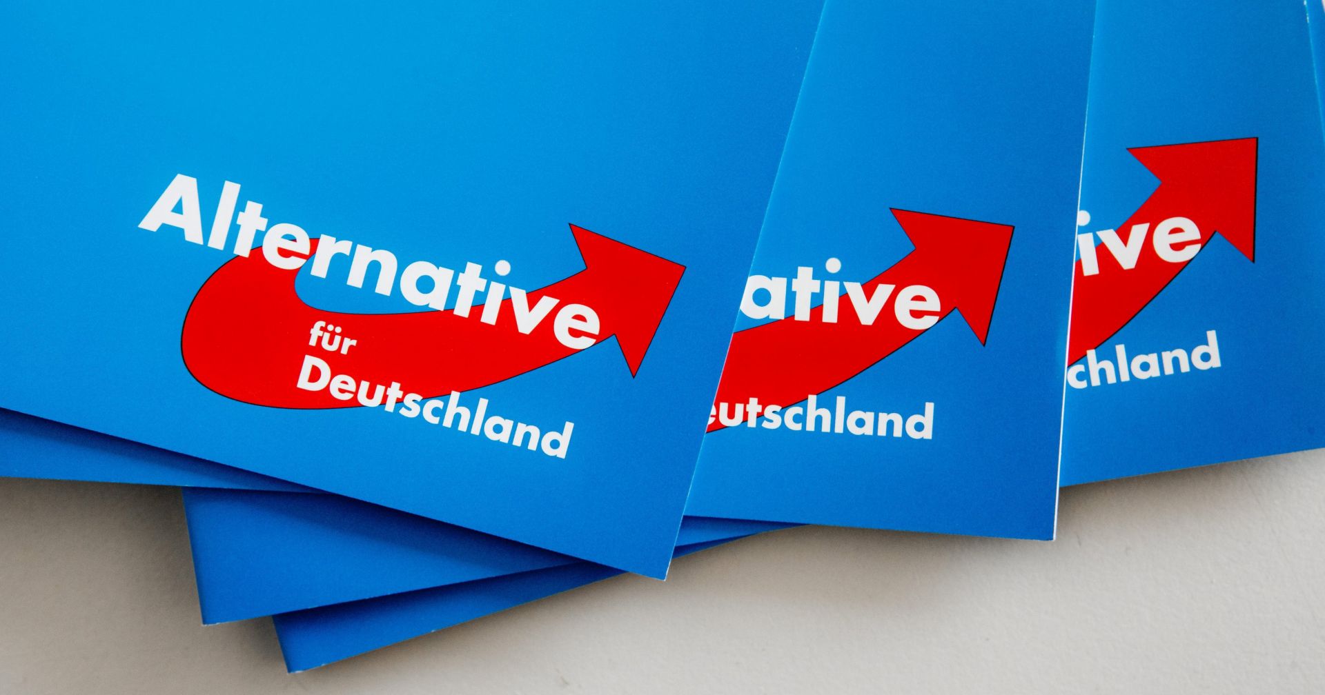 epa05533051 Alternative for Germany (AfD) party logos are seen during a regional party conference in Rendsburg, Germany, on 10 September 2016.  EPA/MARKUS SCHOLZ