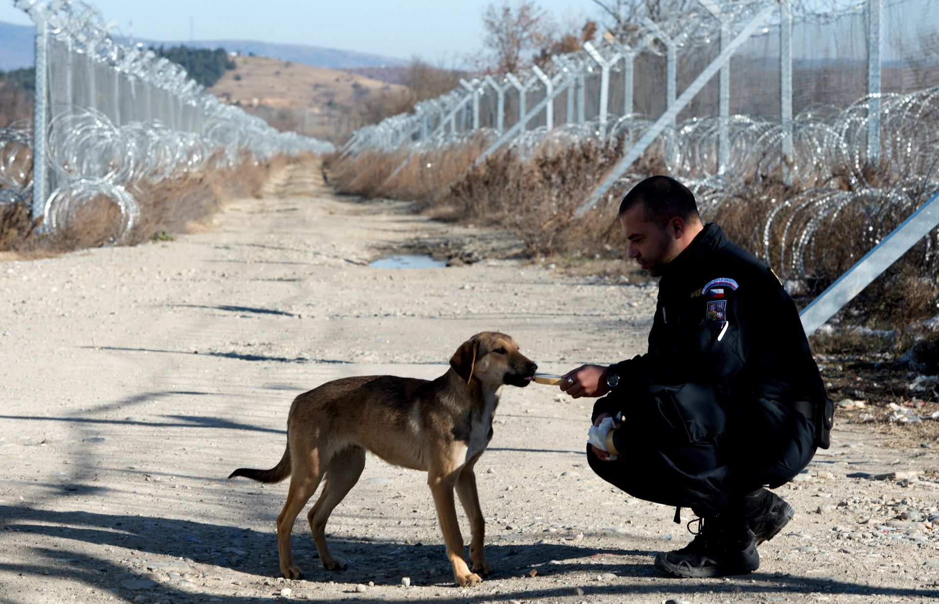 09.12.2016., Gevgelija - Bodljikava zica na makedonsko-grckoj granici koja sprjecava ilegalan prelazak migranata. Ceski policajac hrani psa lutalicu. 
Photo: Srdjan Ilic/PIXSELL