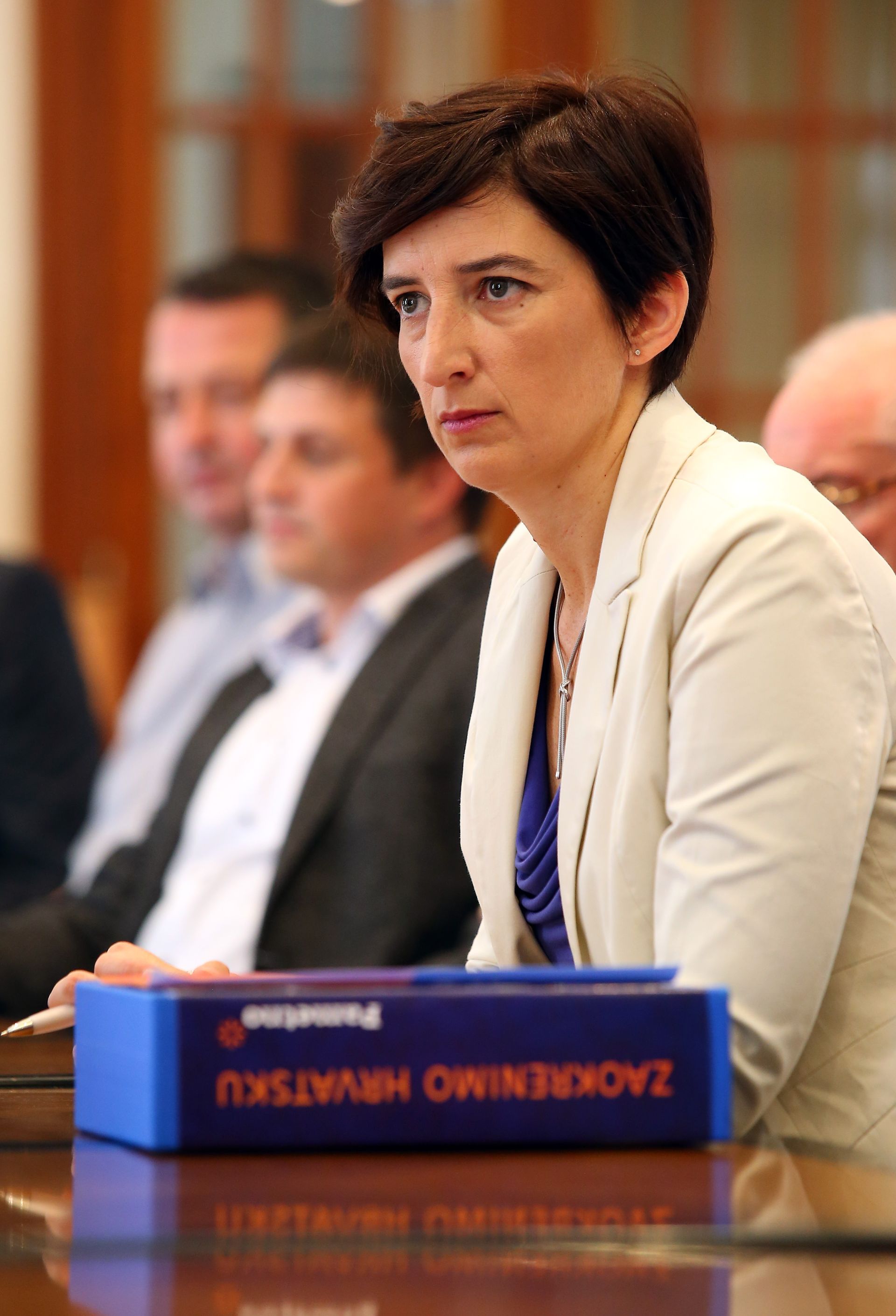 13.08.2016., Zagreb - Izaslanstvo stranke Pametno predalo je Drzavnom izbornom povjerenstvu u Hrvatskom saboru kandidacijske liste za prijevremene parlamentarne izbore koji ce se odrzati 11. rujna. Marijana Puljak. 
Photo: Jurica Galoic/PIXSELL
