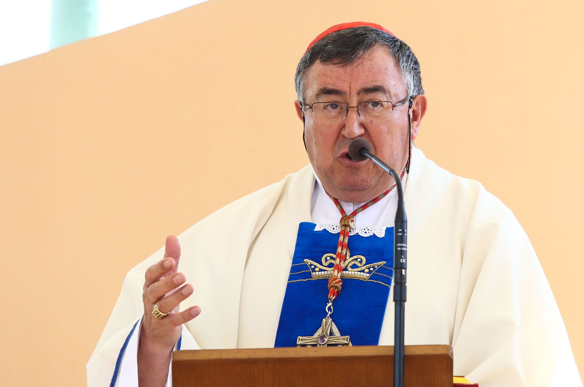 Aljma, 15.08.2016 - Na svetkovinu Uznesenja Blaene Djevice Marije u nadbiskupijskom svetitu Gospe od Utoèita u Aljmau sveèano misno slavlje predvodi oe vrhbosanski nadbiskup, kardinal Vinko Puljiæ.
foto HINA/ ik