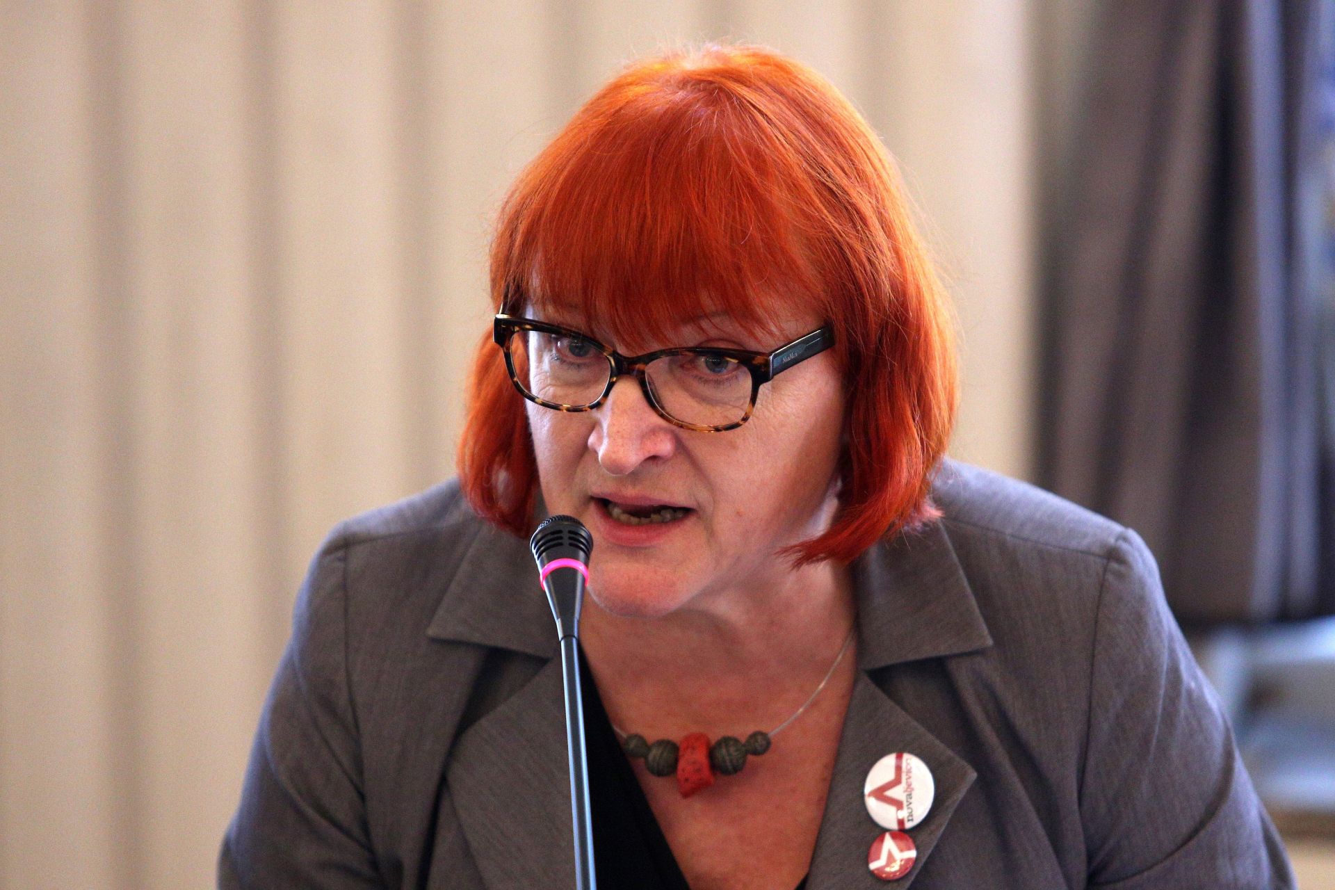 18.12.2016.,Zagreb - U Novinarskom domu odrzana je Osnivacka skupstina stranke Nova ljevica - stranka za demokratizaciju i odrzivi razvoj, ciji Inicijativni odbor cine intelektualci i aktivisti Rada Boric, Nadezda Cacinovic, Nikola Devcic, Dragan Markovina, Zoran Pusic i Vesna Terselic. 
Photo: Anto Magzan/PIXSELL