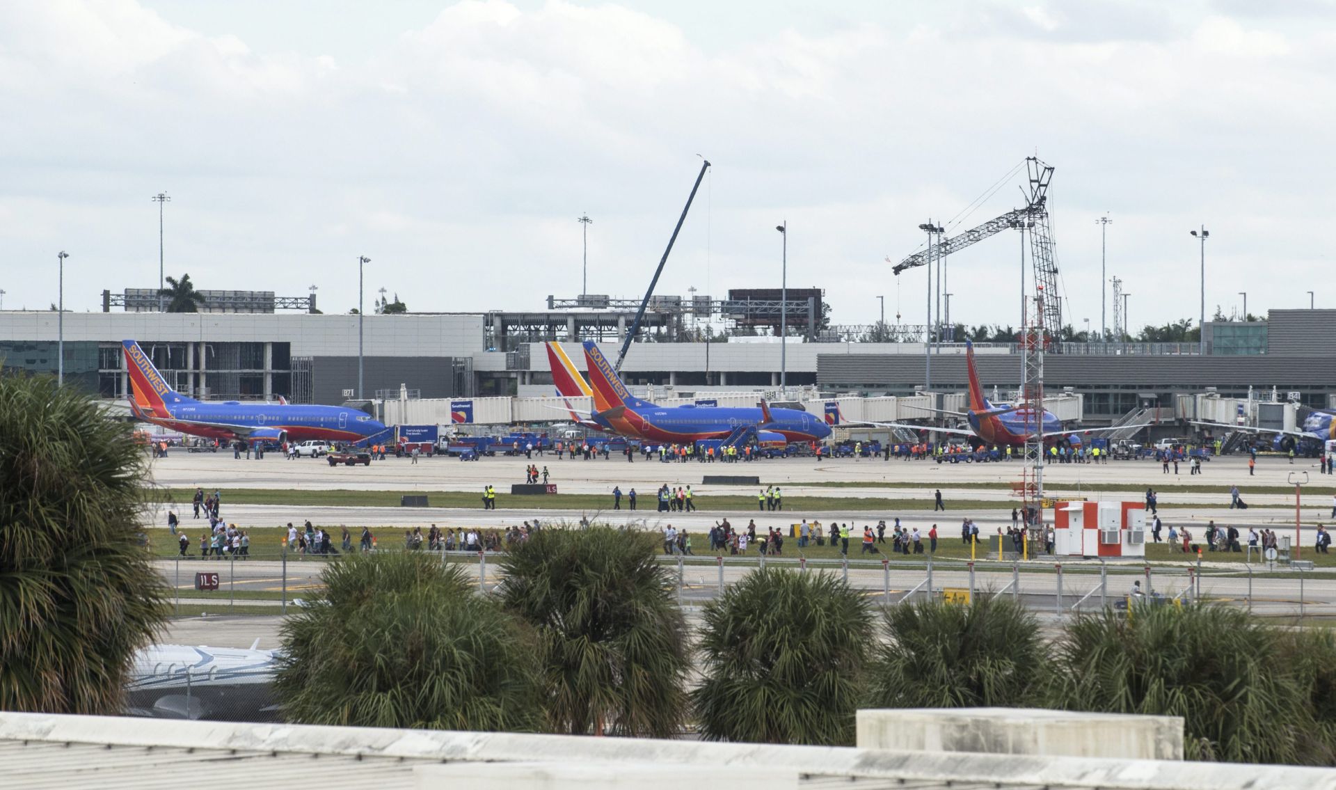 epa05702297 Hundreds of people are seen on the runway of Fort Lauderdale airport in Florida, USA, on 06 January 2017, after a gunman opened fire killing five people and injuring eight more. According to media reports a suspect is in custody.  EPA/GIORGIO VIERA