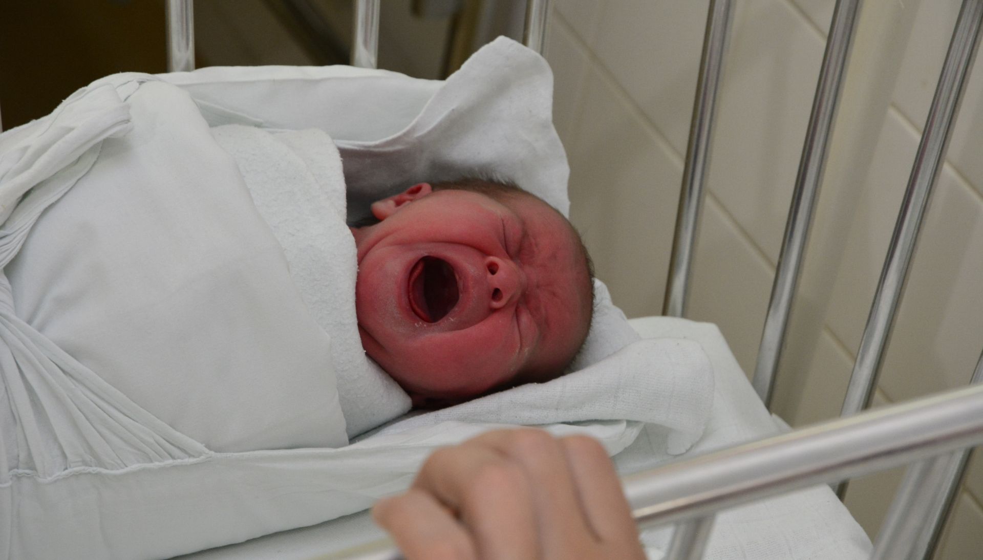 01.01.2017., Nova Gradiska - Prva beba u Hrvatskoj rodjena je u novogradiskoj bolnici. Svega nekoliko trenutaka poslije ponoci, malenu Janu rodila je majka Ana Brcic. Jos jedna djevojcira, Ena, rodjena je u prvih pola sata Nove godine, a rodila ju je majka Sara Ordanic Abramovic. Majke je darivao zupan Danijel Marusic, a s njim u pratnji bili su dr. Boris Lovric, voditelj odjela ginekologije i porodnistva i dr. Josip Samardzic, ravnatelj Opce bolnice dr. Josip Bencevic Slavonski Brod. 
Photo: Ivica Galovic/ PIXSELL