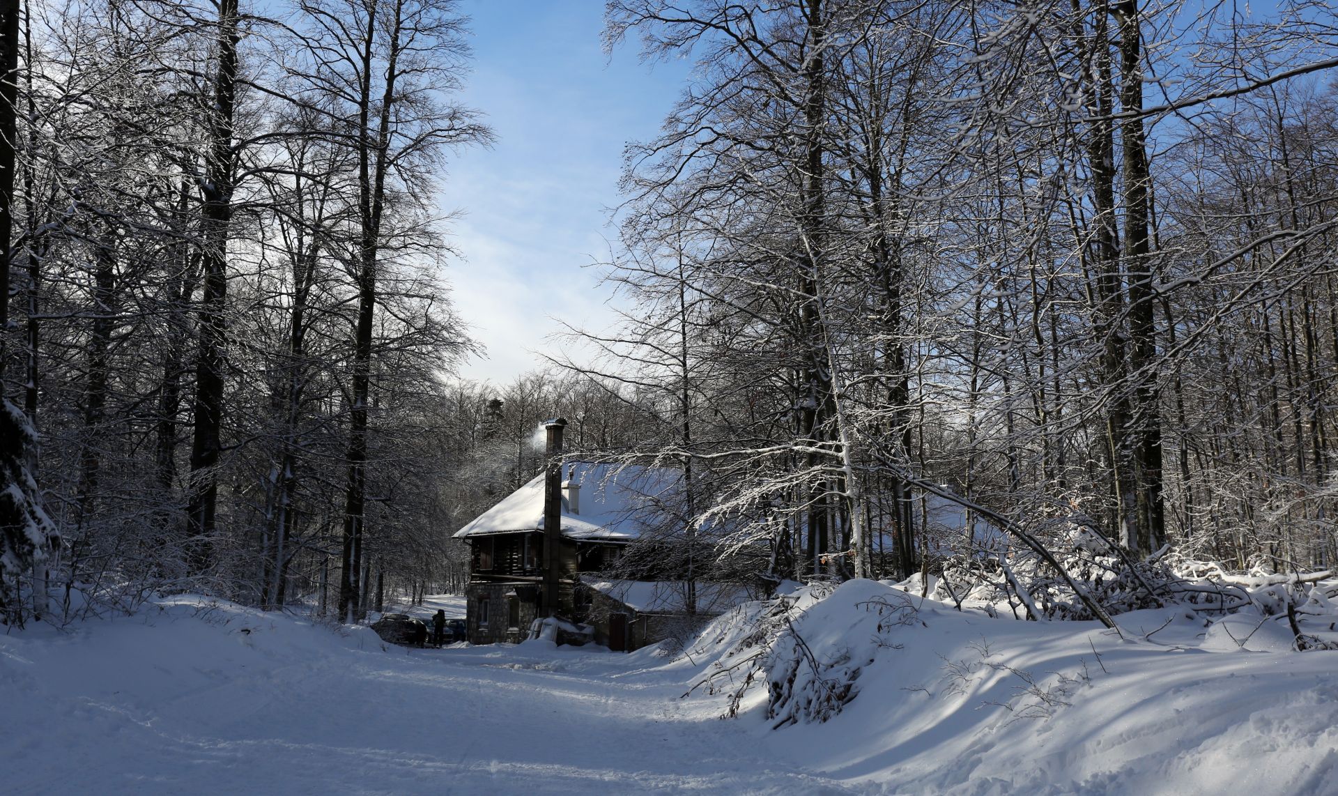 15.01.2017., Platak - Suma pod snijegom.  
Photo: Goran Kovacic/PIXSELL