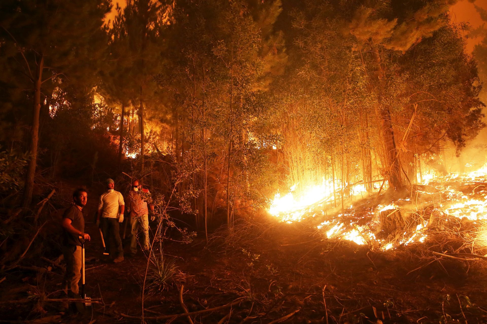 epa05750540 People try to extinguish a forest fire in El Maule, Chile, 25 January 2017. The National Forest Corporation (Conaf) reported that there are 85 fires in Chile with about 189.000 hectares affected.  EPA/ELVIS GONZALEZ