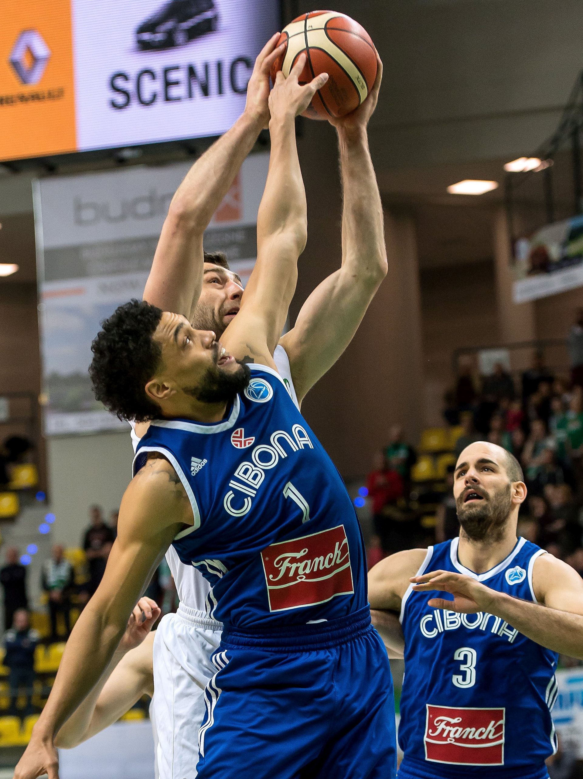 epa05778756 Adam Hrycaniuk (back) of Stelmet BC Zielona Gora and Scott Reynolds (front) of Cibona Zagreb in action during their FIBA Europe Cup round of 16 basketball match in Zielona Gora, Poland, 08 February 2017.  EPA/Maciej Kulczynski POLAND OUT