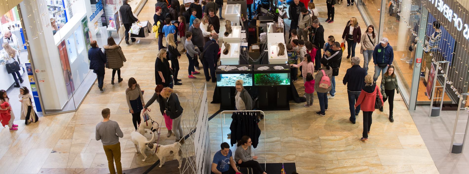 Westgate Shopping City