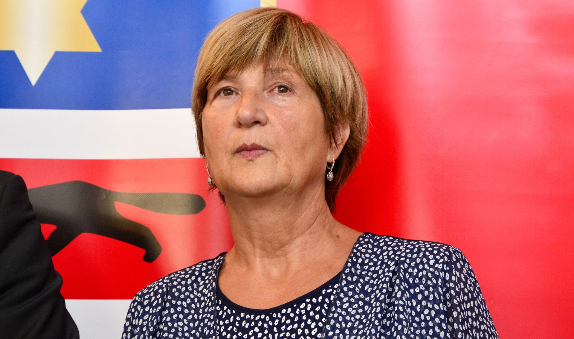 26.08.2016., Slavonski Brod - HDSSB u Slavonskom Brodu odrzao je konferenciju za medije na temu "Odnos sredisnje drzavne vlasti prema Slavonskom Brodu i Slavoniji!". Predsjednica HKS-a Ruza Tomasic. Photo: Ivica Galovic/PIXSELL