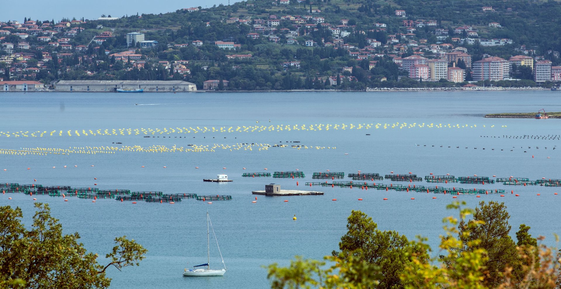 Savudrija, 27.07.2015 - Pogleda na Piranski zaljev i grad Portoro u Sloveniji. Premijer Zoran Milanoviæ izjavio je u ponedjeljak nakon sastanka s predsjednicima saborskih klubova zastupnika da Hrvatska izlazi iz postupka arbitrae oko granice sa Slovenijom.
foto HINA/ Damir SENÈAR /ds<