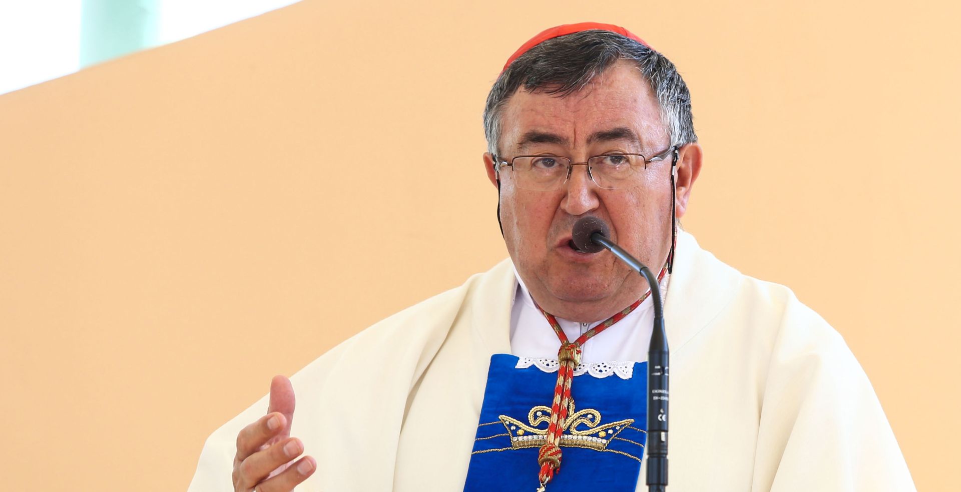 Aljma, 15.08.2016 - Na svetkovinu Uznesenja Blaene Djevice Marije u nadbiskupijskom svetitu Gospe od Utoèita u Aljmau sveèano misno slavlje predvodi oe vrhbosanski nadbiskup, kardinal Vinko Puljiæ.
foto HINA/ ik