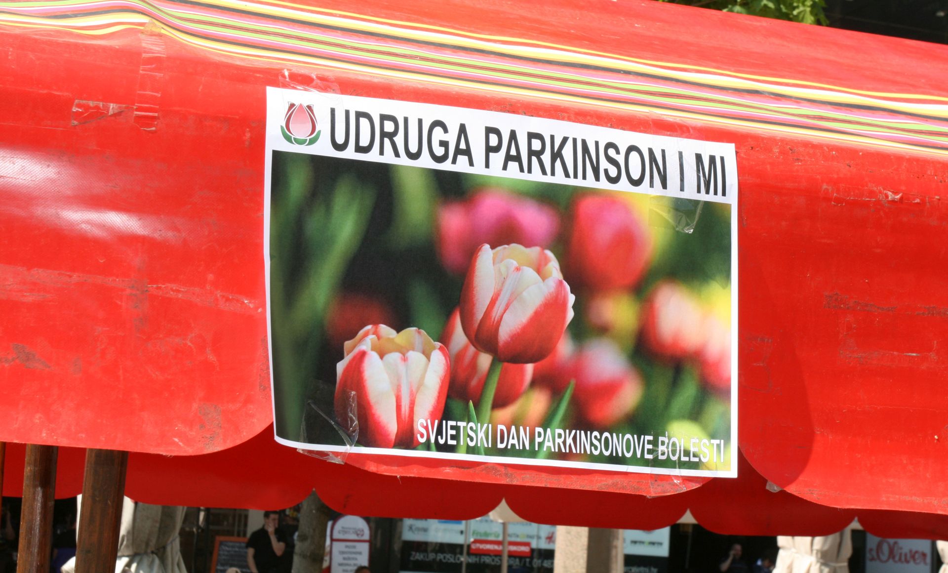 Zagreb, 11.04.20126. - Udruga "Parkinson i mi" obiljeava "Svjetski dan Parkinsonove bolesti", pod pokroviteljstvom Ministarstva zdravlja i visokim pokroviteljstvom Ureda predsjednice Republike Kolinde Grabar Kitaroviæ. Program obiljeavanja na Trgu Petra Preradoviæa zapoèeo je predstavljanjem novog priruènika za uznapredovalu fazu Parkinsonove bolesti. Predstavnici Udruge Parkinson i mi graðanima su dijeliti informativne letke i crvene tulipane, simbol borbe protiv Parkinsonove bolesti. Tribina o Parkinsonovoj bolesti odrana je u prostorijama Tribine grada Zagreba. foto HINA /Zvonimir KUHTIÆ/ zk