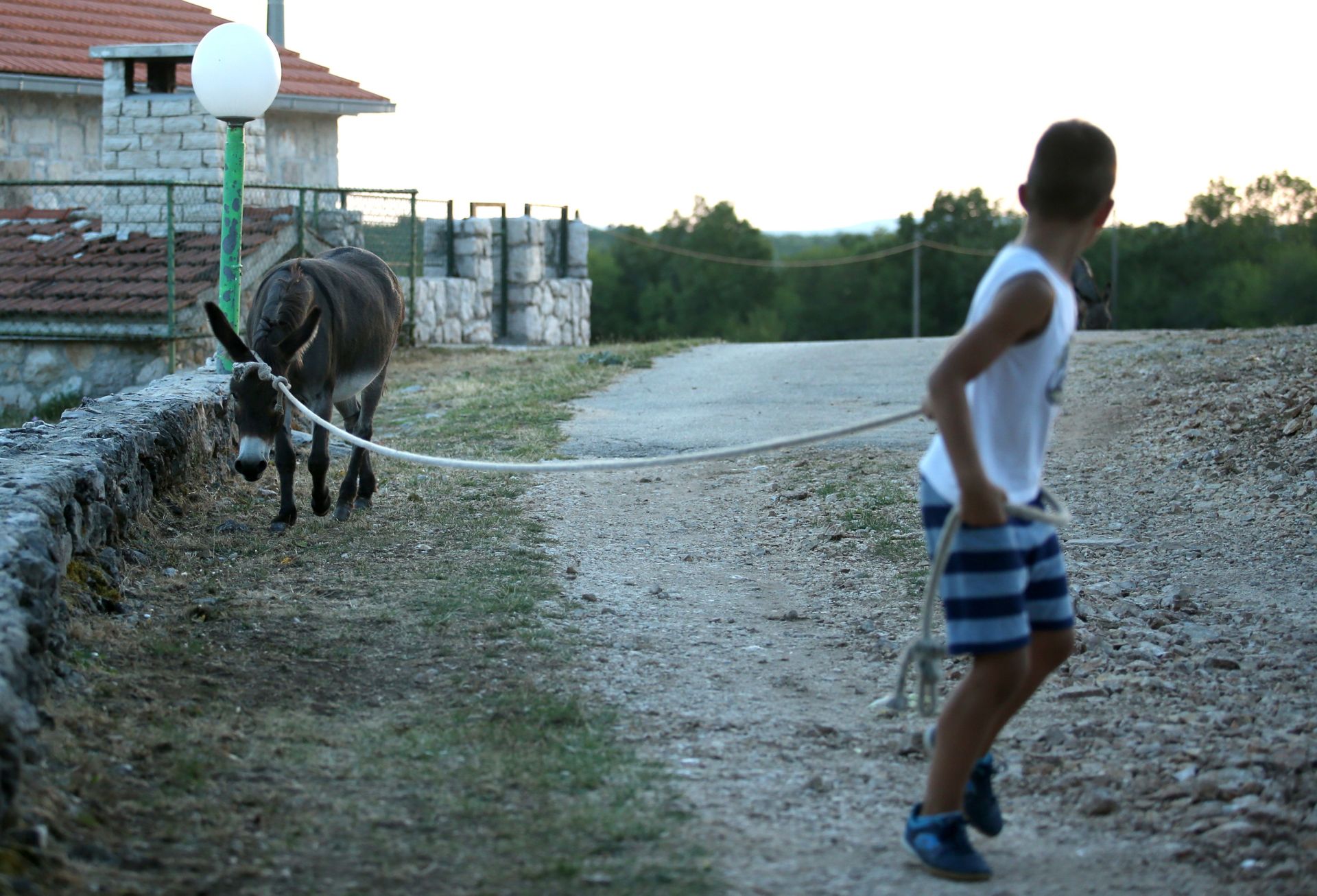 09.08.2015., Imotski - U prvih 7 mjeseci ove godine Turisticka zajednica grada Imotskog biljezi 40 posto vise nocenja i dolazaka turista u odnosu na isto razdoblje prosle godine. U sklopu jednodnevnih posjeta uglavnom je rijec o turistima s Makarskog primorja ili onih na putu za Medjugorje, dok na visednevnom odmoru ostaju najcesce turisti iz skandinavskih zemalja, Njemacke te Austrije. 
Photo: Sanjin Strukic/PIXSELL