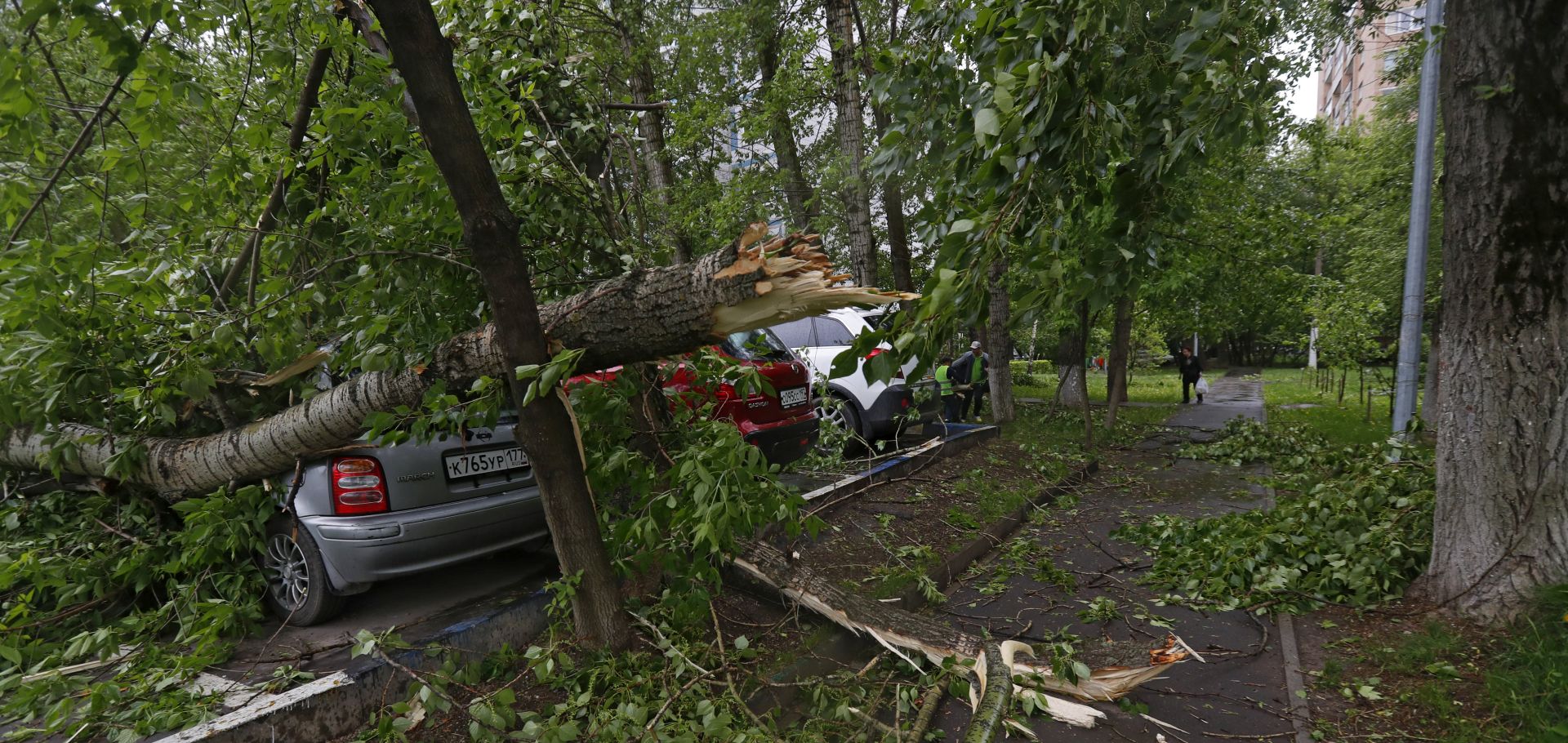 epa05997580 A car under a fallen tree after a strong thunderstorm hit Moscow, Russia, 29 May 2017.  EPA/SERGEI ILNITSKY