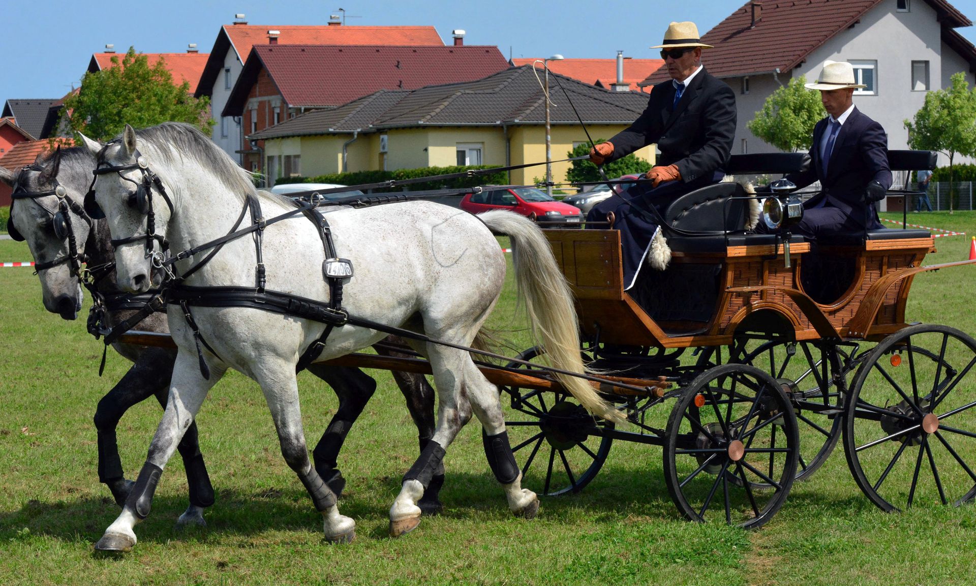 Slavonski Brod, 20.05.2017. - U organizaciji Centra za ruralni razvoj Panonica odran je zapreni konjièki turnir pod nazivom Panonica Driving Challenge - Slavonski Brod 2017. Turnir je ujedno i posljednja slubena provjera kandidata za Reprezentaciju Hrvatske u vonji dvoprega prije njihovog odlaska na meðunarodni turnir u Melikutu (Madjarska). Na turniru u Maðarskoj hrvatski vozaèi borit æe se za ostvarivanje norme za odlazak na Svjetsko prvenstvo u vonji dvoprega koje se odrava u rujnu.
foto HINA / ml