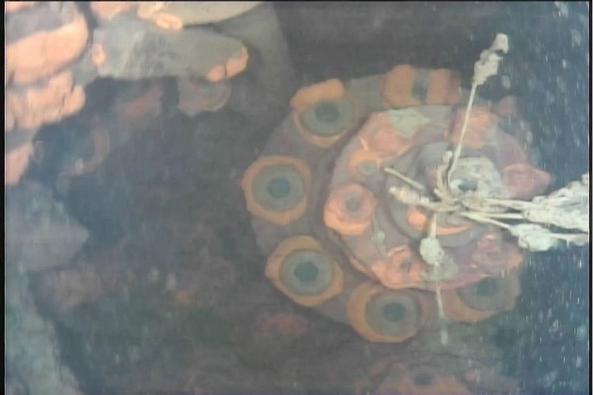 epa06104751 A handout picture provided by the International Research Institute for Nuclear Decommissioning (IRID) via Tokyo Electric Power Company (TEPCO) shows inside the pedestal of number 3 reactor at TEPCO's Fukushima Daiichi Nuclear Power Plant in Okuma, Fukushima Prefecture, northern Japan, 19 July 2017 (issued 23 July 2017).  Media outlets report that the images, taken by an underwater robot, show possible melted nuclear fuel deposits inside the reactor. The IRID said, they could examine likely melted materials which are consolidated, fallen substances such as grating and the sediments. The facility was damaged when an earthquake on 11 March 2011, triggered a tsunami and sent three reactors into meltdown, killing more than 18,500 people.  EPA/IRID/TEPCO/HANDOUT MANDATORY CREDIT. BEST QUALITY AVAILABLE HANDOUT EDITORIAL USE ONLY/NO SALES
