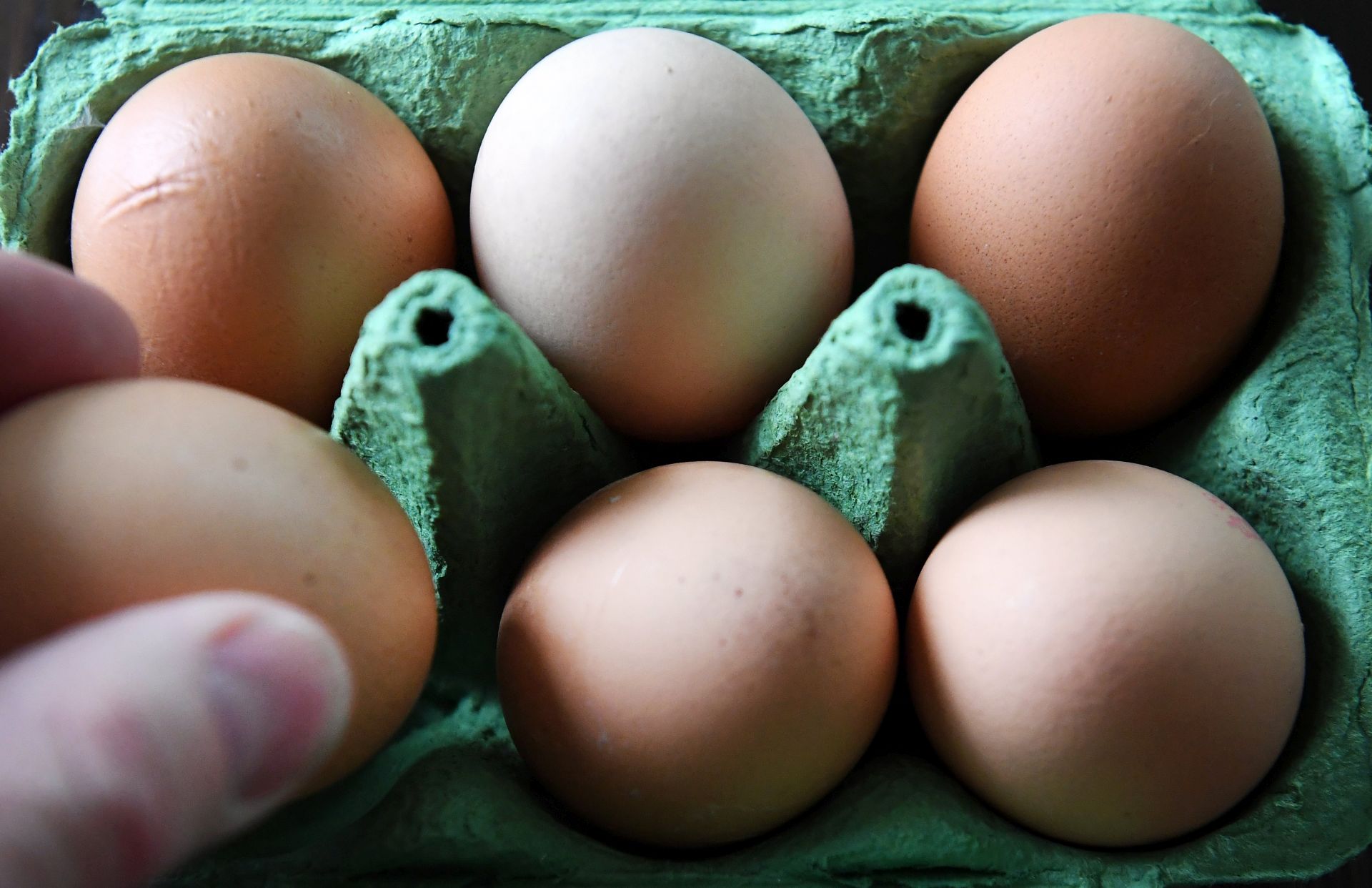 epa06135341 Eggs from a supermarket in London, Britain, 10 August  2017. According to British Food Standards Agency 700,000 contaminated eggs from farms in The Netherlands have been distributed to the UK. Millions of eggs are thought to have been tainted with the  pesticide Fipronil, which is moderately toxic.  EPA/ANDY RAIN