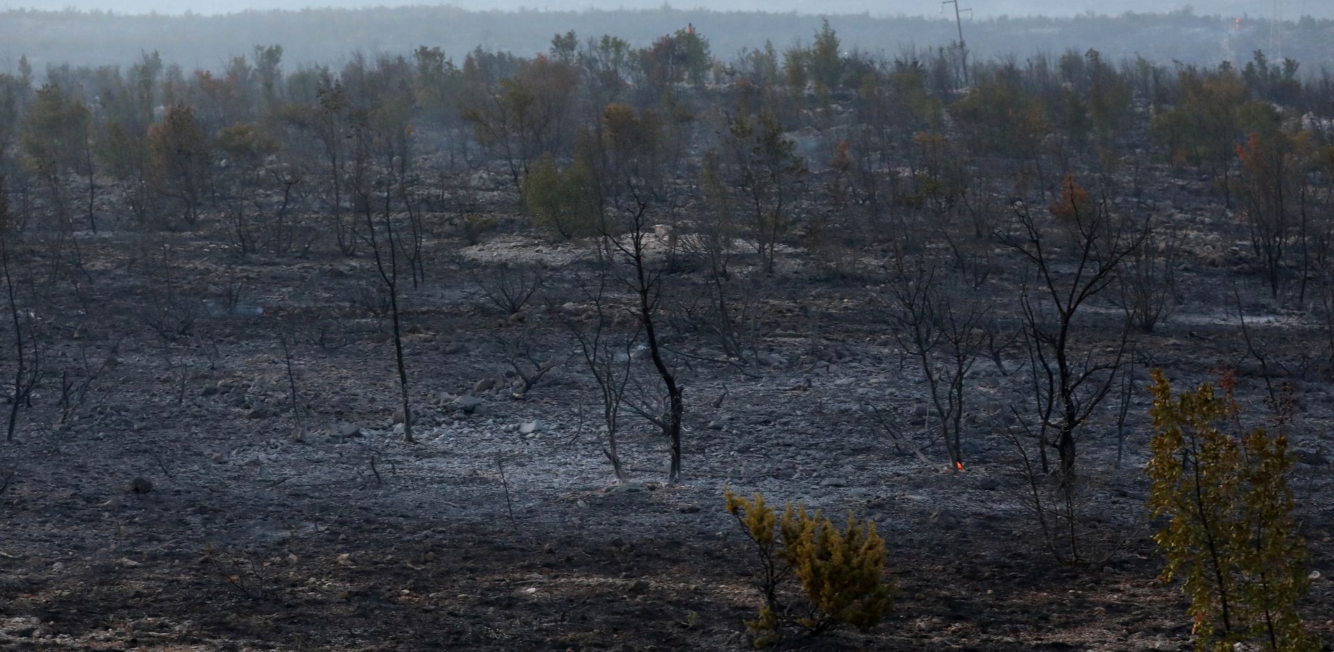 Zaton Obrovaèki, 14.08.2017. - Poar kod tunela Sv. Rok i dalje je aktivan. Na fotografiji opareno podruèje izmeðu Jasenica i Zatona Obrovaèkog gdje je gorilo tijekom dana. foto HINA/Lana SLIVAR DOMINIÆ/lsd