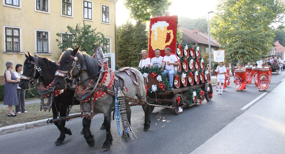 dani-piva-karlovac.com