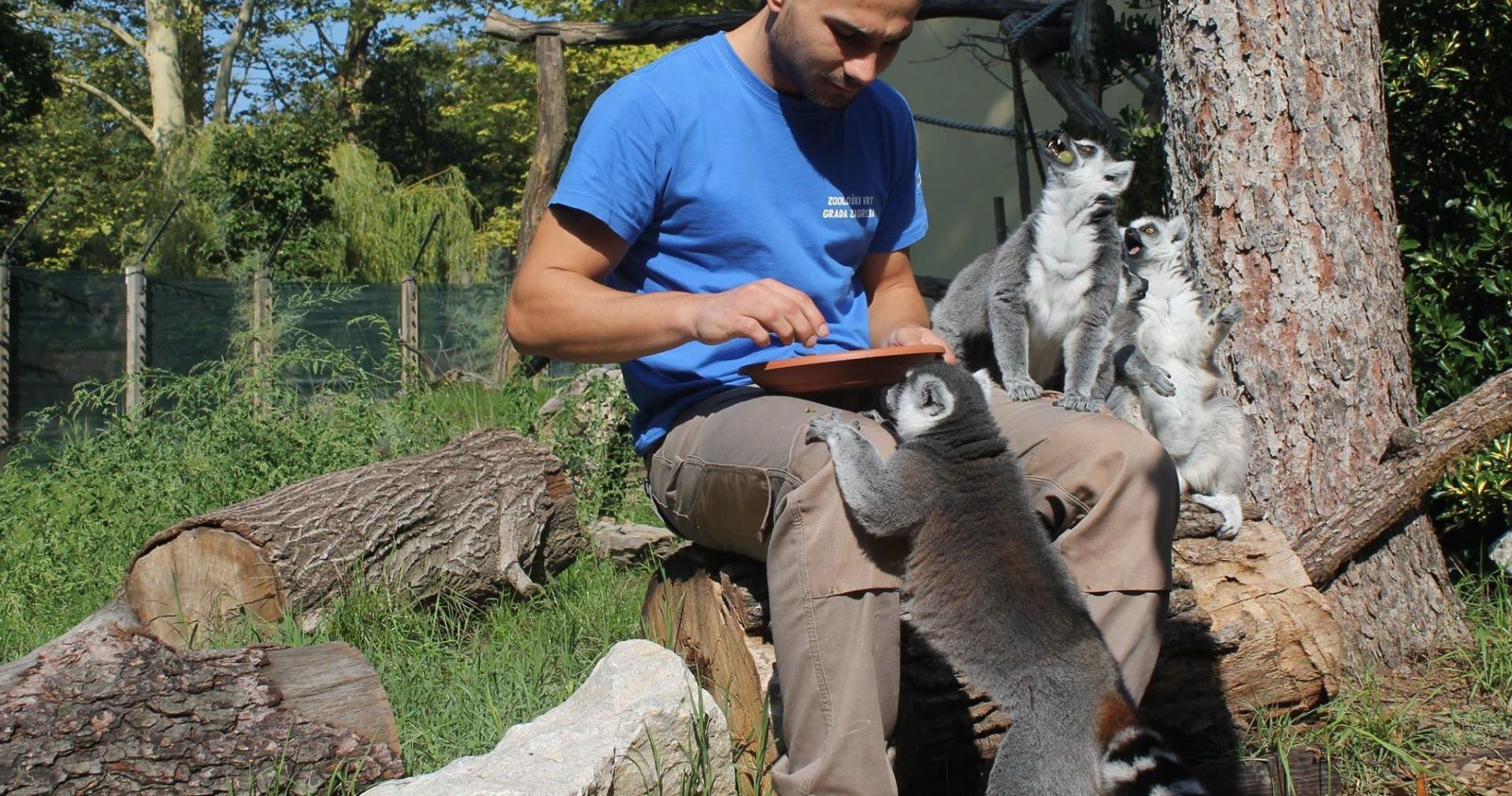 ZG ZOO