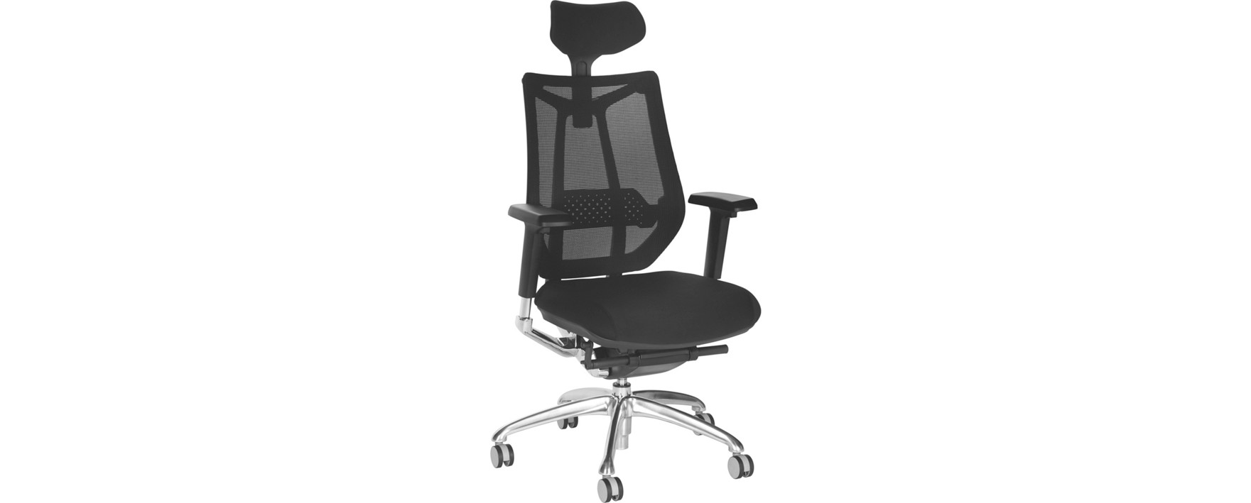 LESNINA XXXL