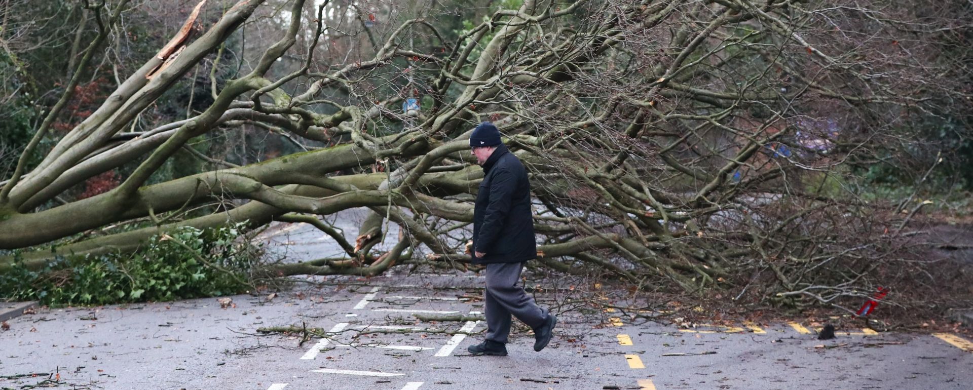 epaselect epa06414253 A man walks past a fallen tree as it blocks a road in Harrow, north west London, Britain, 03 January 2018. Storm Eleanor hit Britain with the British Met Office recording gusts reaching 100mph (161km/h). Yellow warning were in place for Wales, England, most of Northern Ireland and parts of southern Scotland.  EPA/NEIL HALL