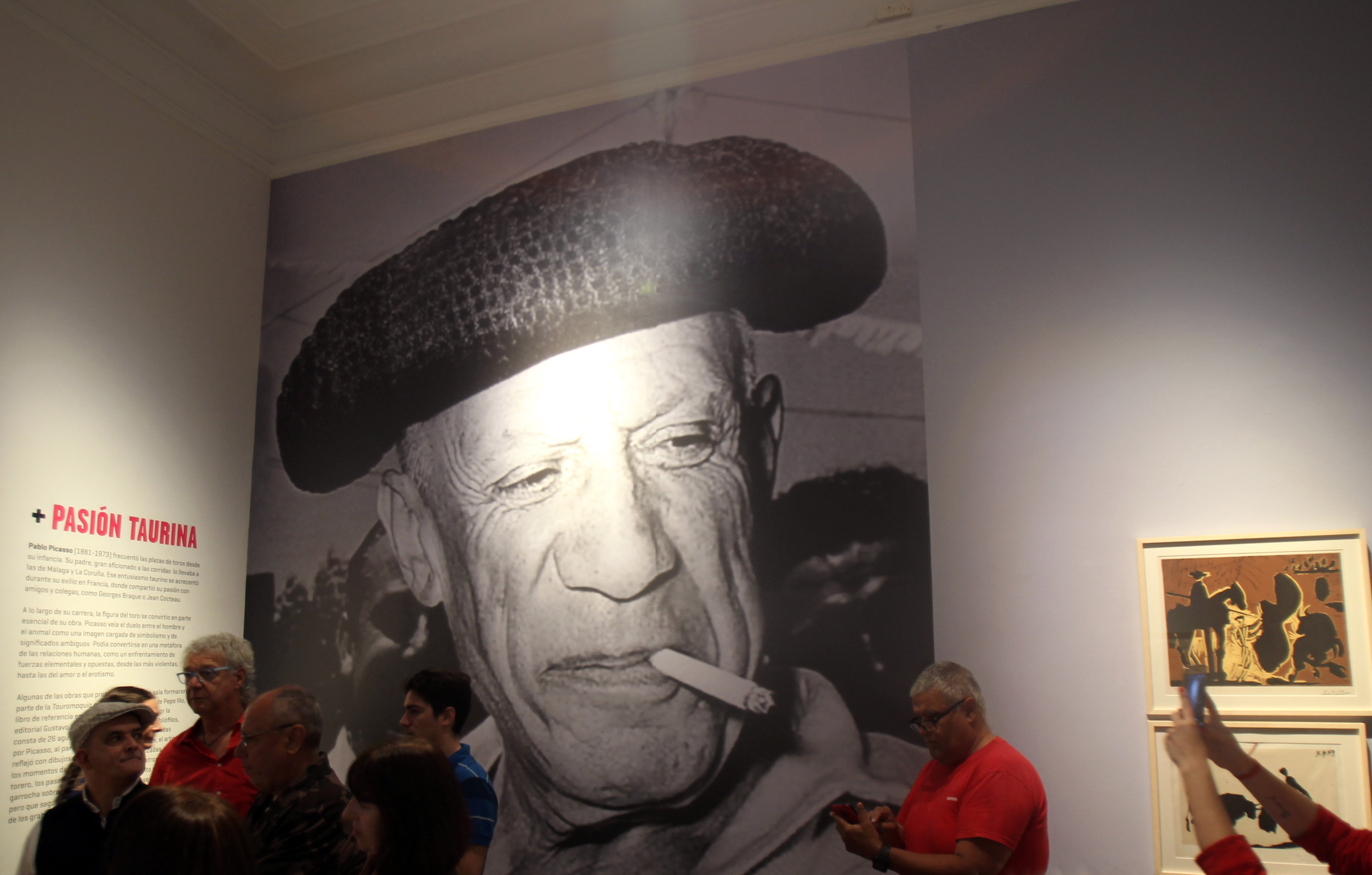 epa07103391 People visit the exhibition 'Goya + Picasso + Dali. Art and bullfighting' in Buenos Aires, Argentina, 18 October 2018. Around 30 works from the three Spanish artists will be available at the Museum of Spanish Art of Buenos Aires since tomorrow.  EPA/JAVIER CAAMANO