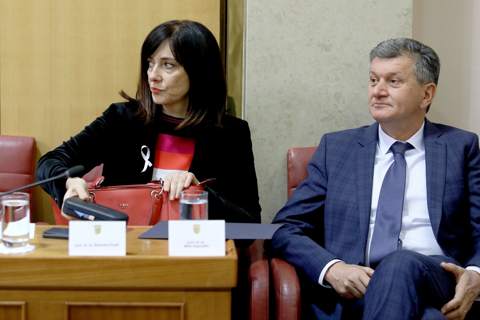 Zagreb: Sabor počeo raspravu o Državnom proračunu za 2019. godinu 27.11.2018., Zagreb- Sabor je danas 10. sjednicu nastavio raspravom o Prijedlogu drzavnog proracuna Republike Hrvatske za 2019. godinu.
Blazenka Divjak, Milan Kujundzic, 
Photo: Patrik Macek/PIXSELL