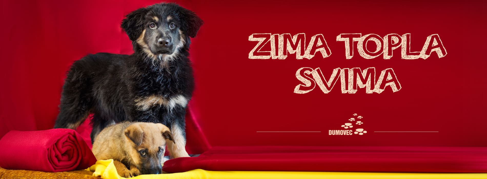 Sklonište za nezbrinute životinje Grada Zagreba