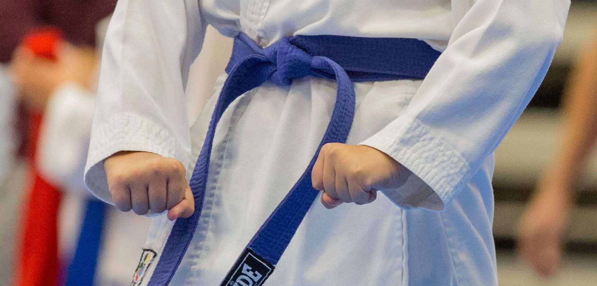 Osijek: U Gradskom vrtu otvorena županijska karate liga 23.09.2018., Osijek - U dvorani Gradski vrt otvorena je Zupanijska karate liga  sezone 2018./ 2019. Photo: Dubravka Petric/PIXSELL