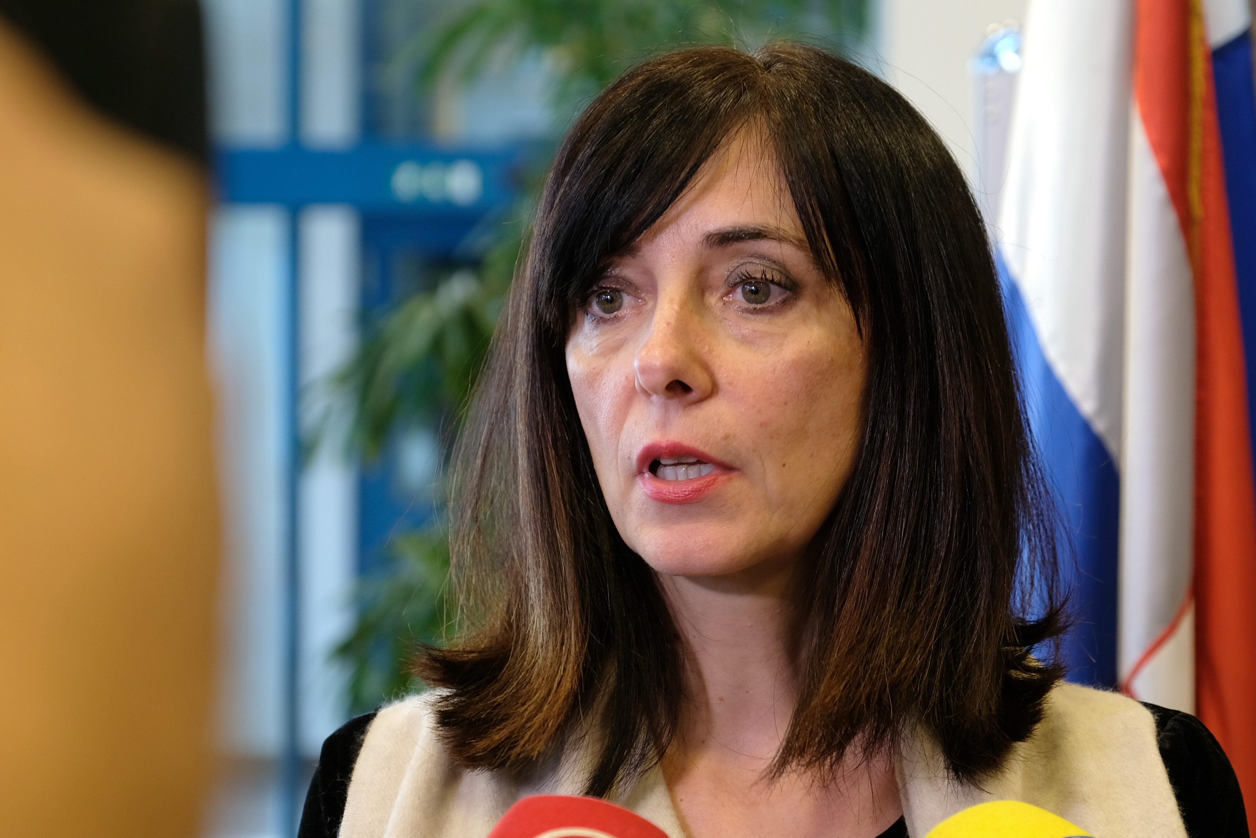 Zagreb, 10.12.2018. - Ministrica znanosti i obrazovanja prof. dr. sc. Blaženka Divjak dala je izjavu za medije na temu slučaja u Čakovcu i problema nasilja u školama. 
Na fotografiji Blaženka Divjak.
foto HINA/ Edvard ŠUŠAK/ es