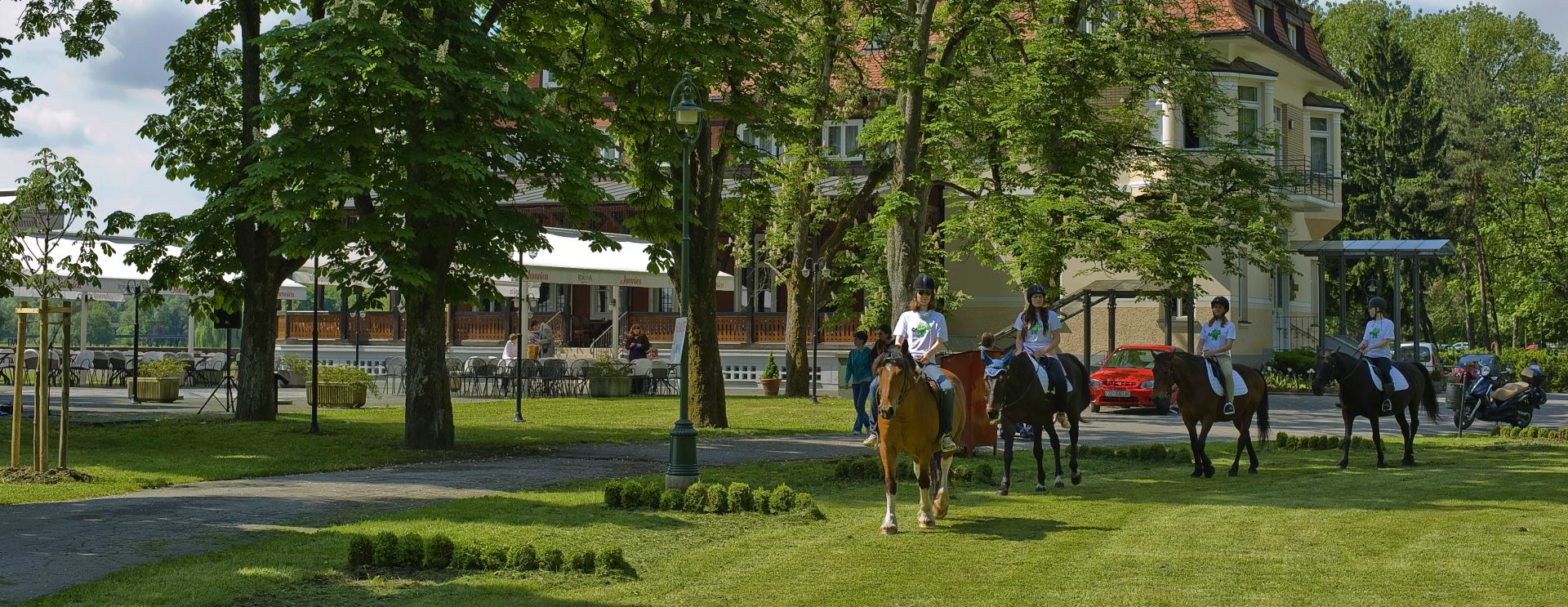 Nacionalna udruga obiteljskih i malih hotela