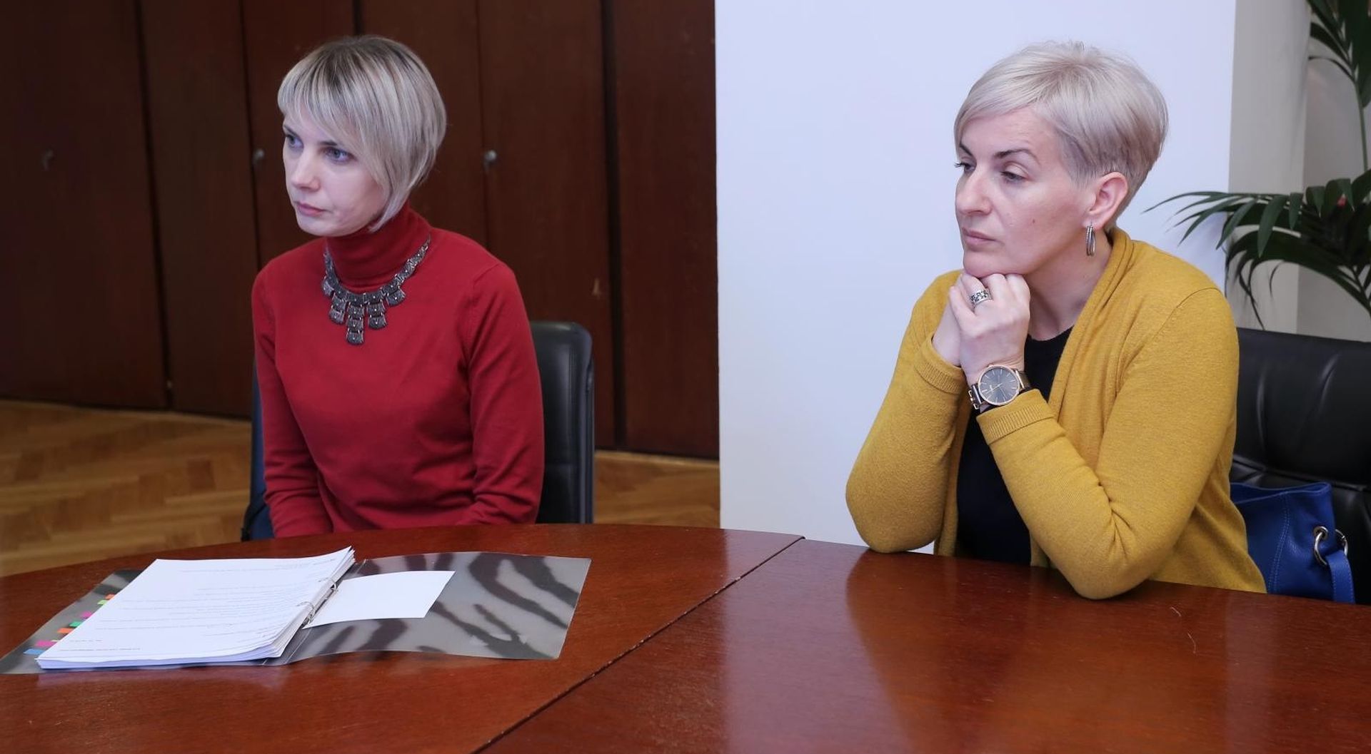 19.03.2018., Zagreb - U Ministarstvu zdravstva predstavnice udruge Kolibrici, Ana Alapic i Marina Rogosic, razgovarale su s Vilijem Berosem o fondu za inovativne lijekove. 
Photo: Tomislav Miletic/PIXSELL