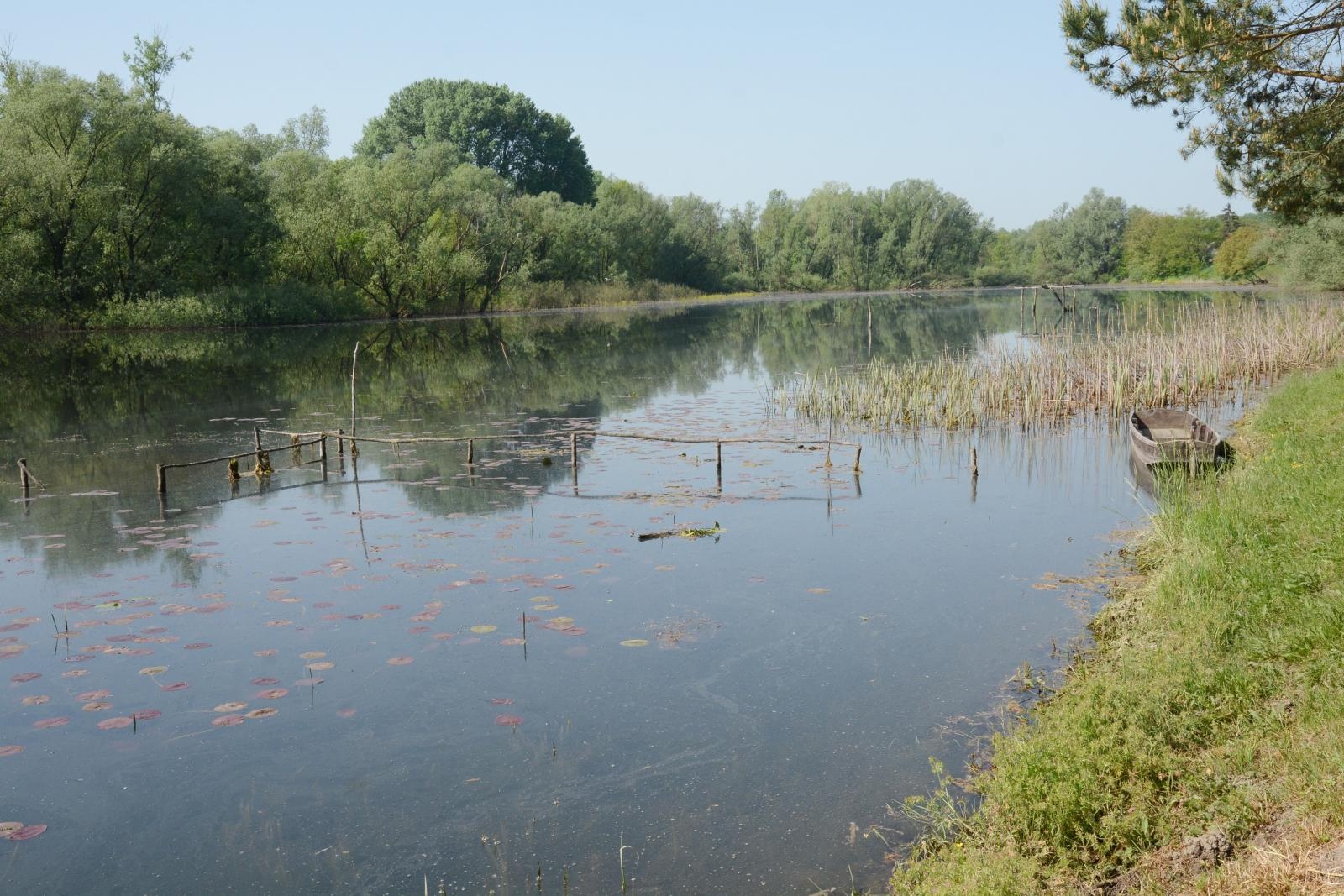 28.04.2018., Muzilovcica - Rukavac Save. 
Photo:Nikola Cutuk/PIXSELL