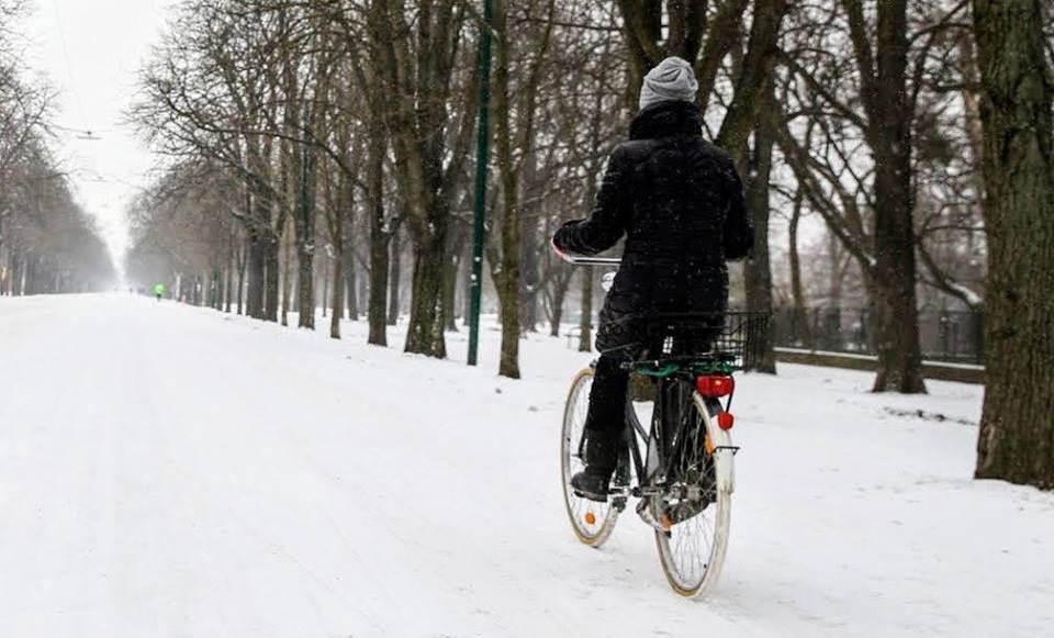 FOTO: ©Fahrrad Wien